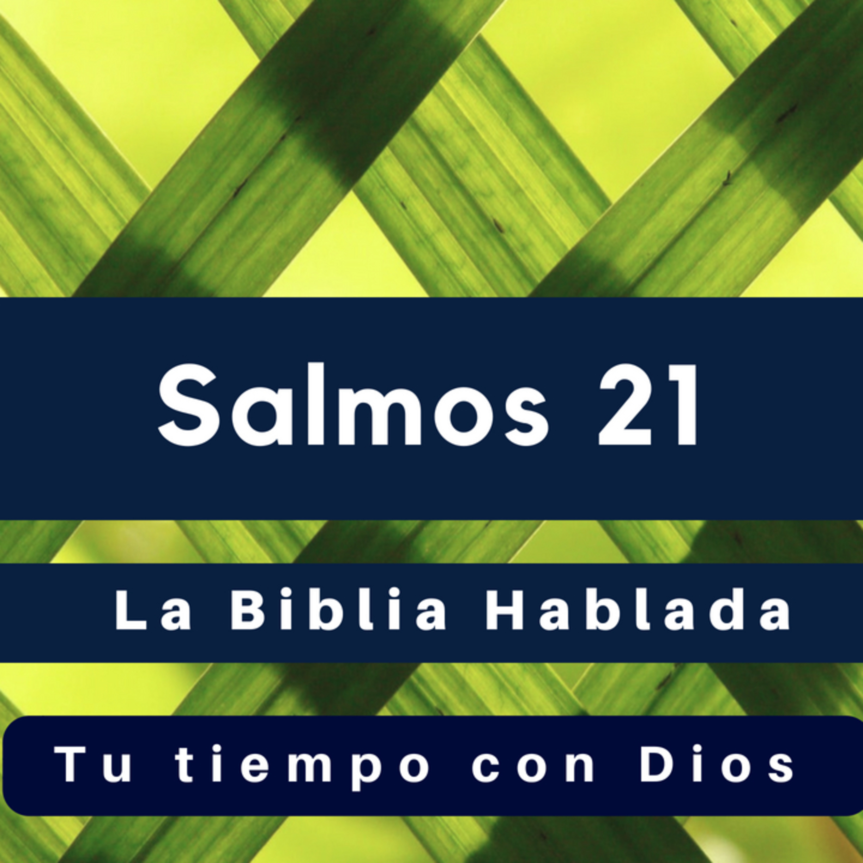 Bienvenidos!!
