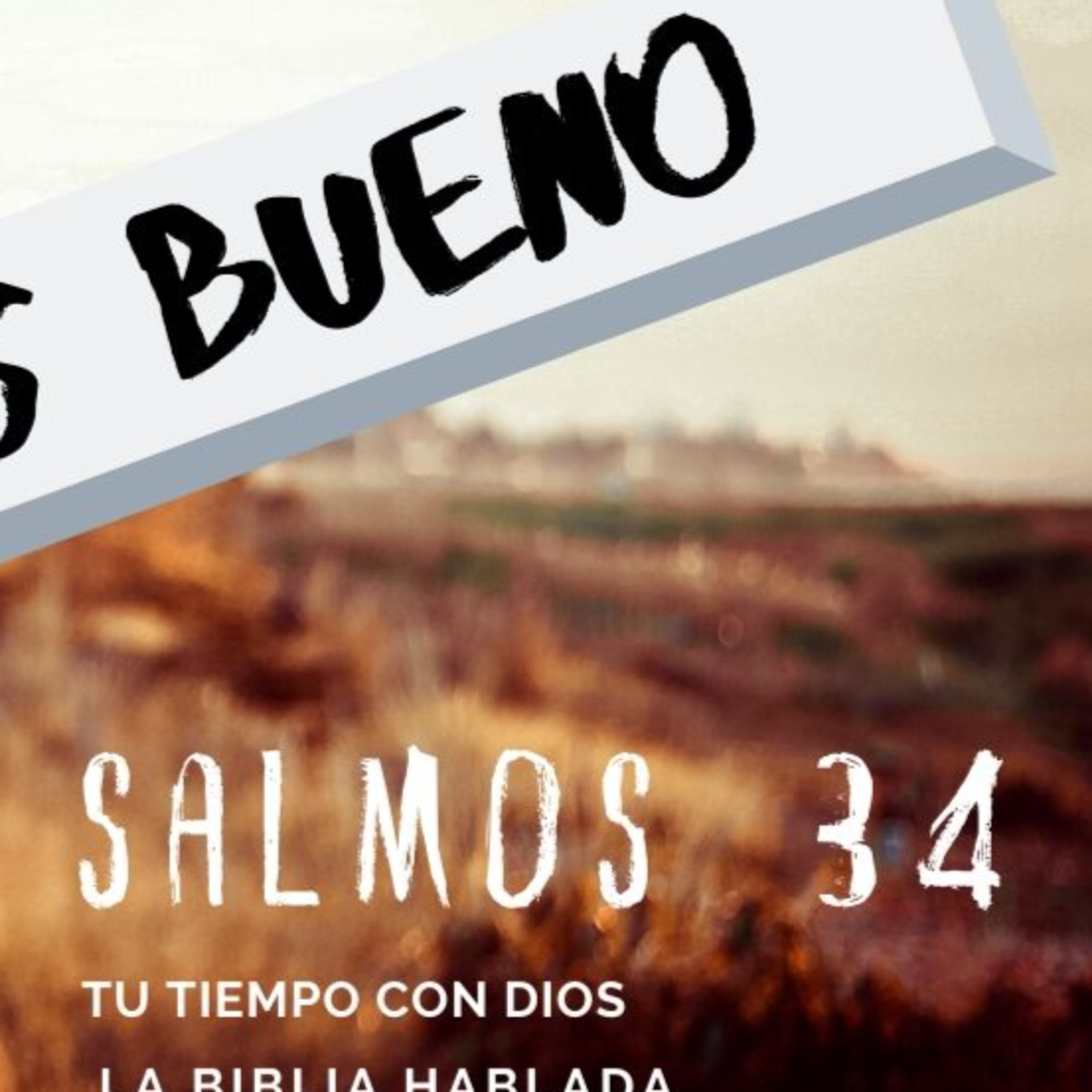 Bienvenidos!!