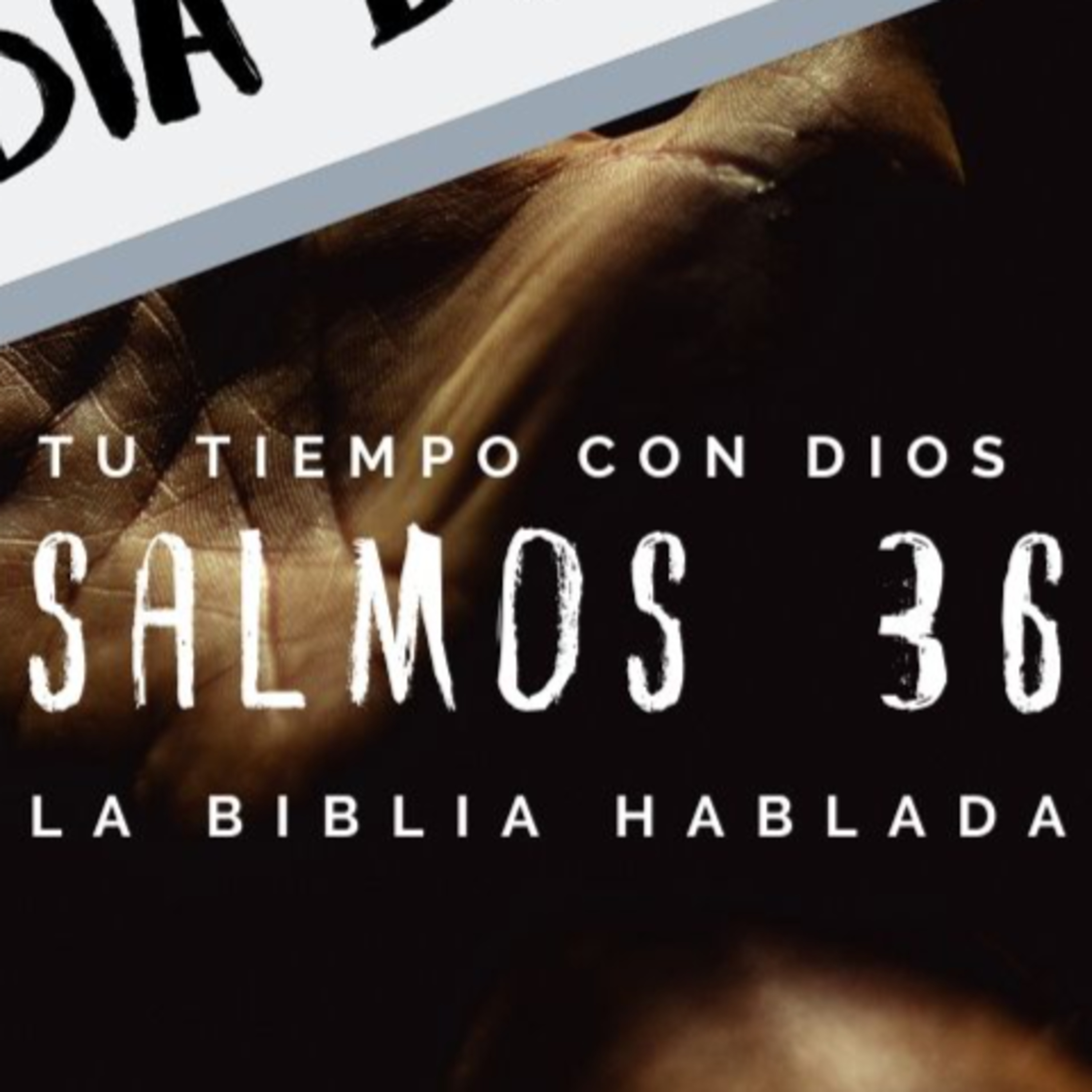 Bienvenidos!!