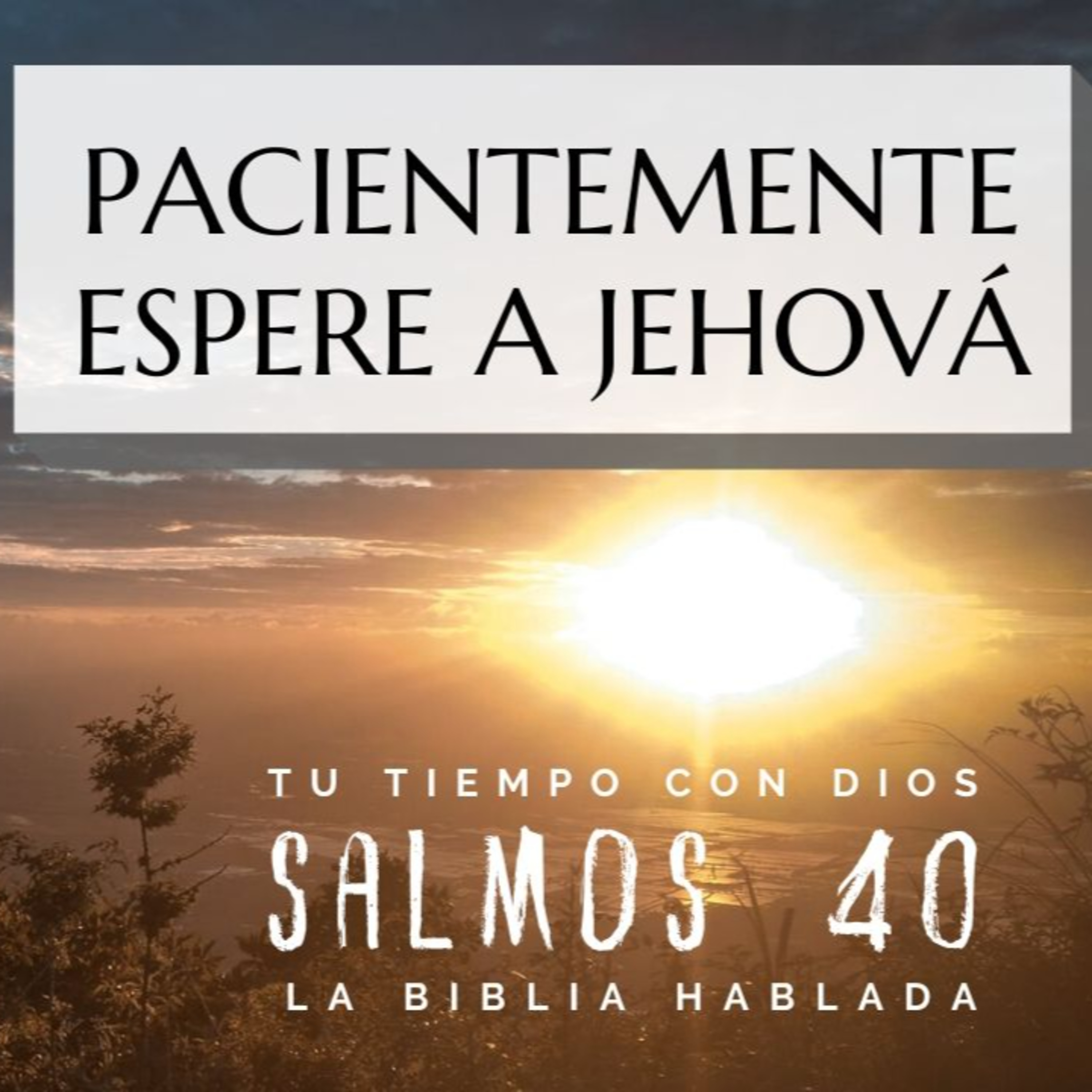 Bienvenidos!!