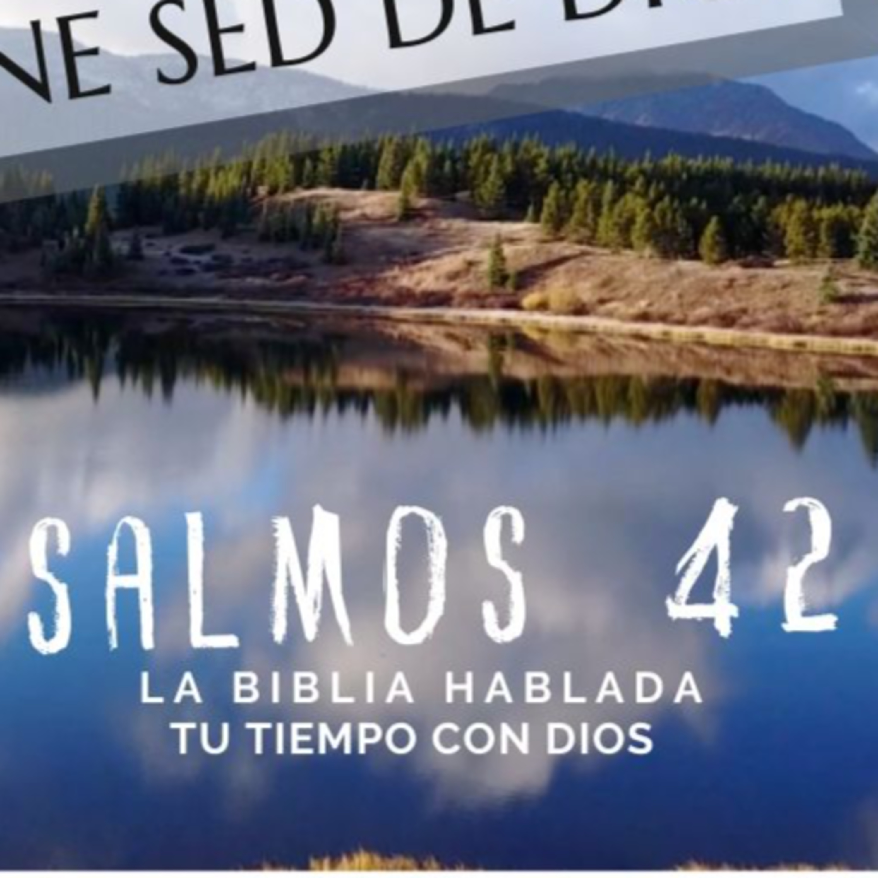 Bienvenidos!!
