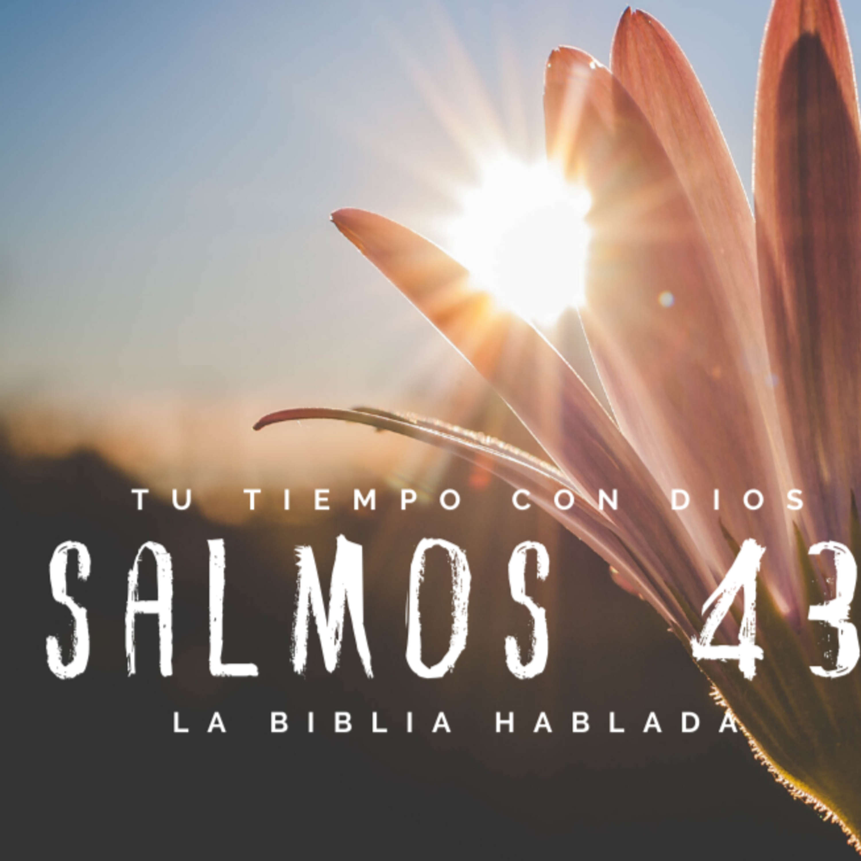 Bienvenidos!!