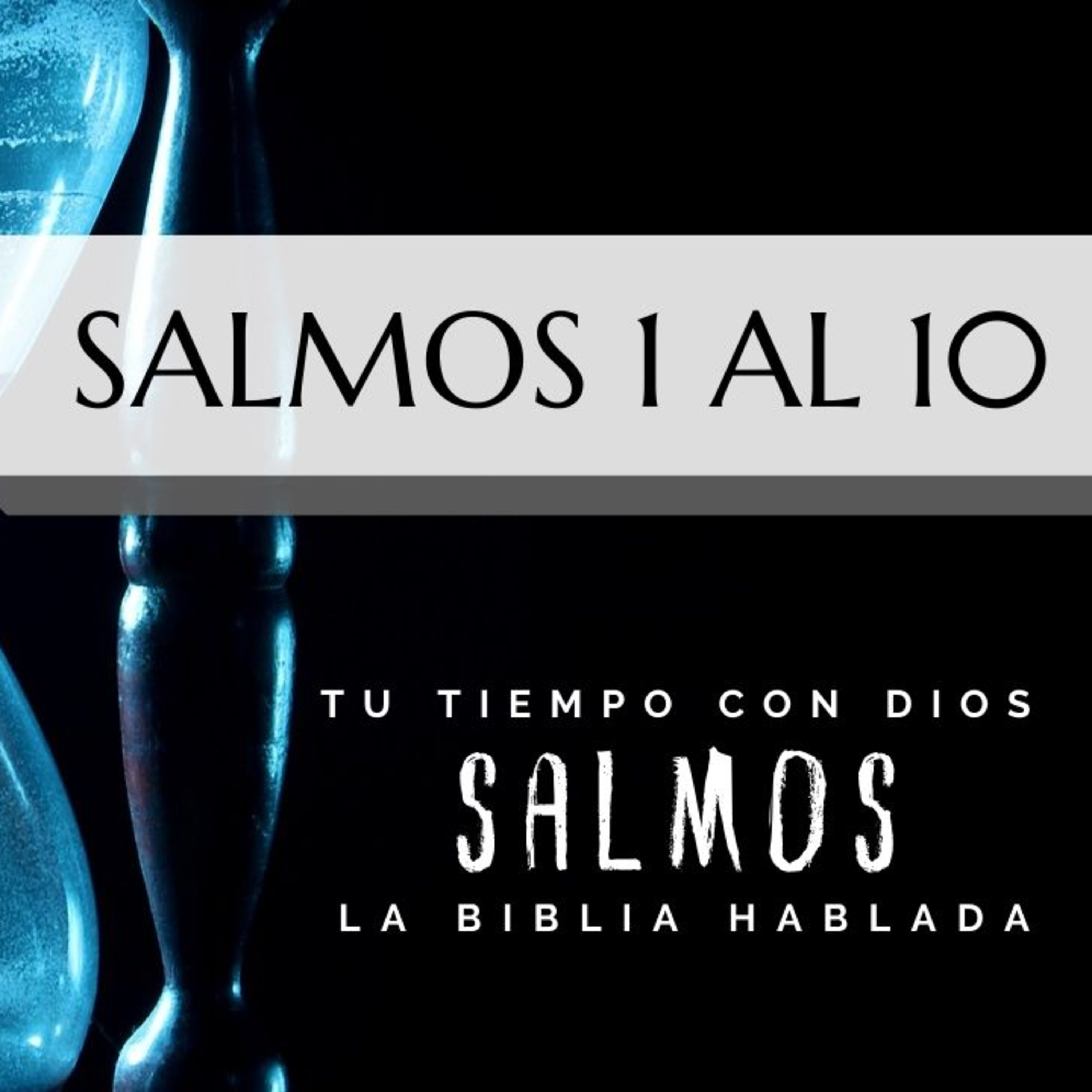 Bienvenidos!!