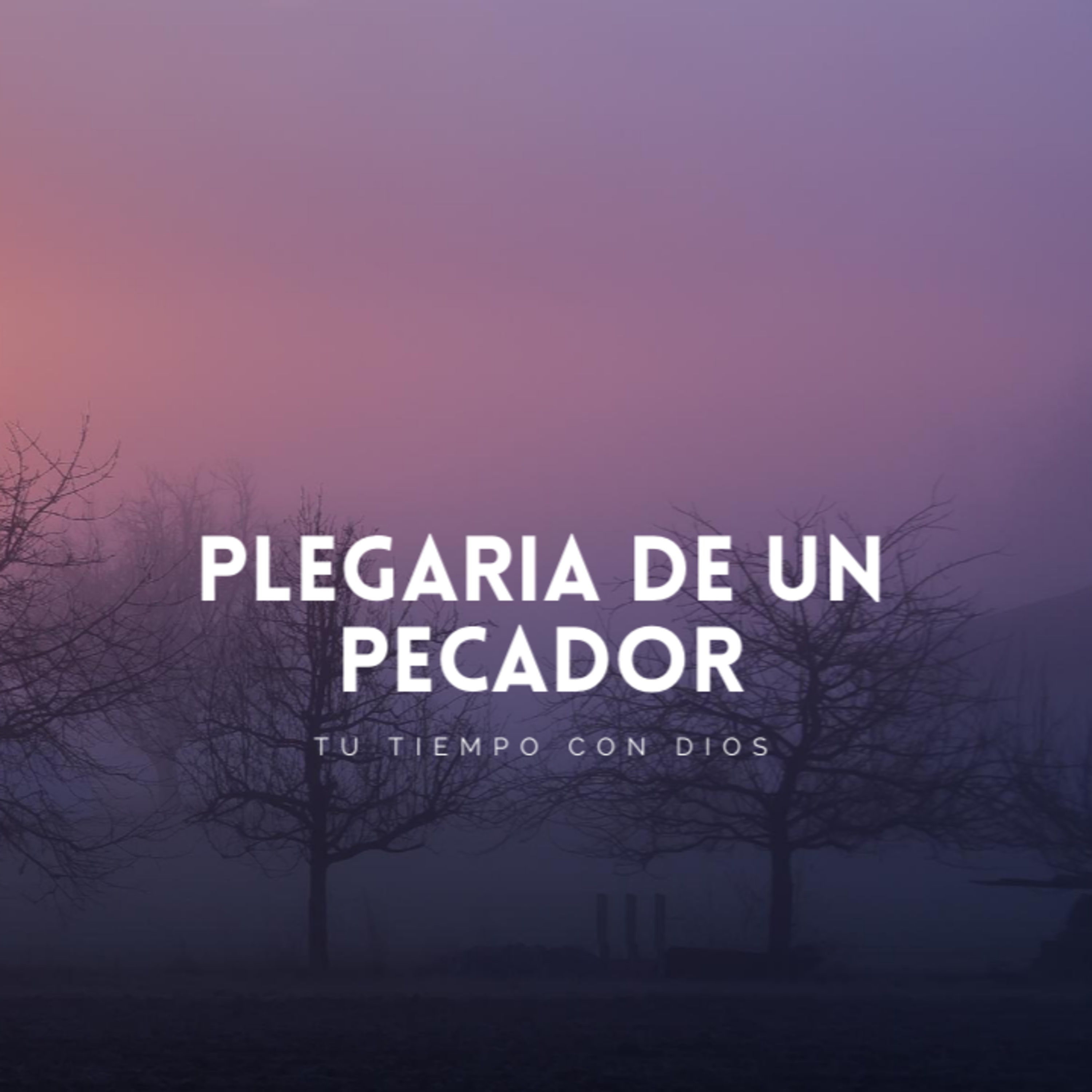 Bienvenidos!!