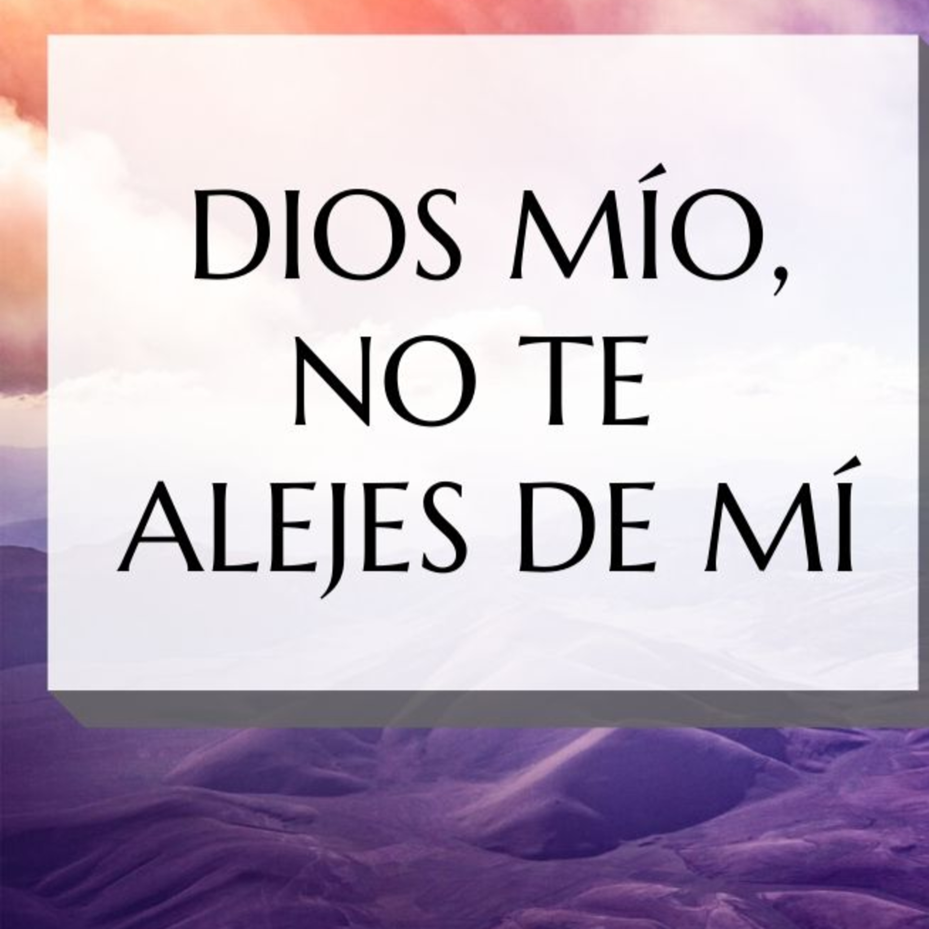 Bienvenidos!!
