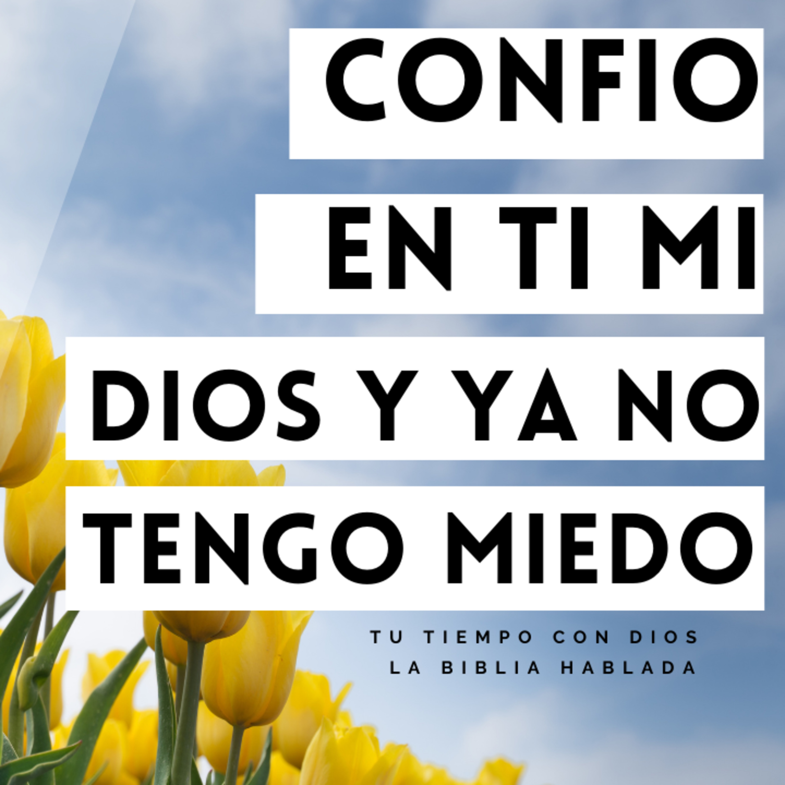 Bienvenidos!!