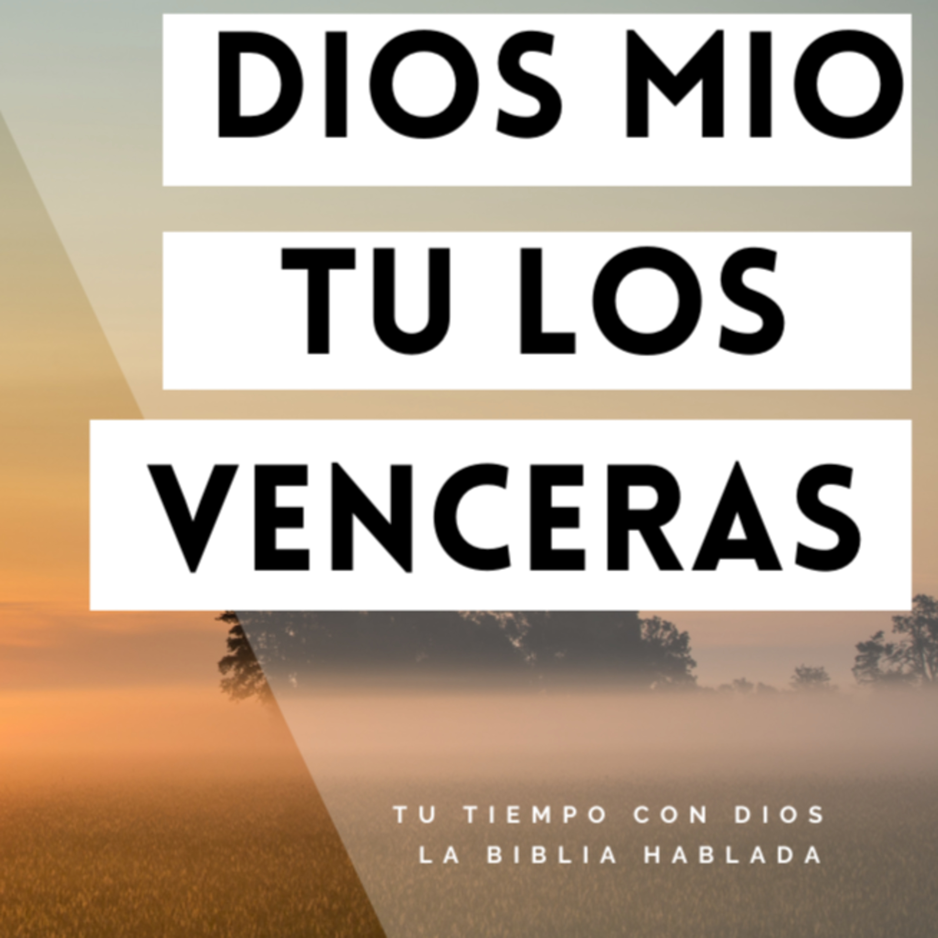 Bienvenidos!!