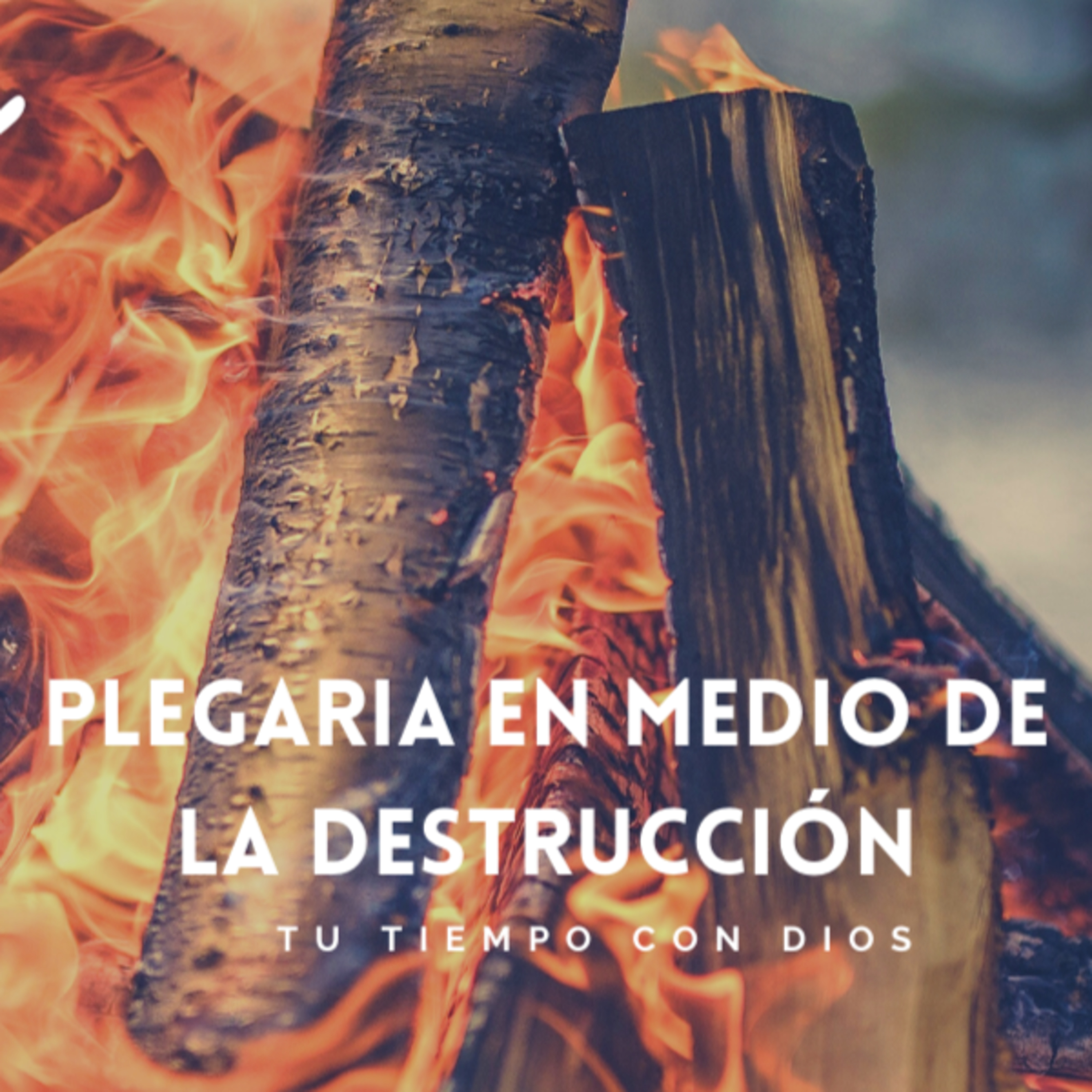 Bienvenidos!!