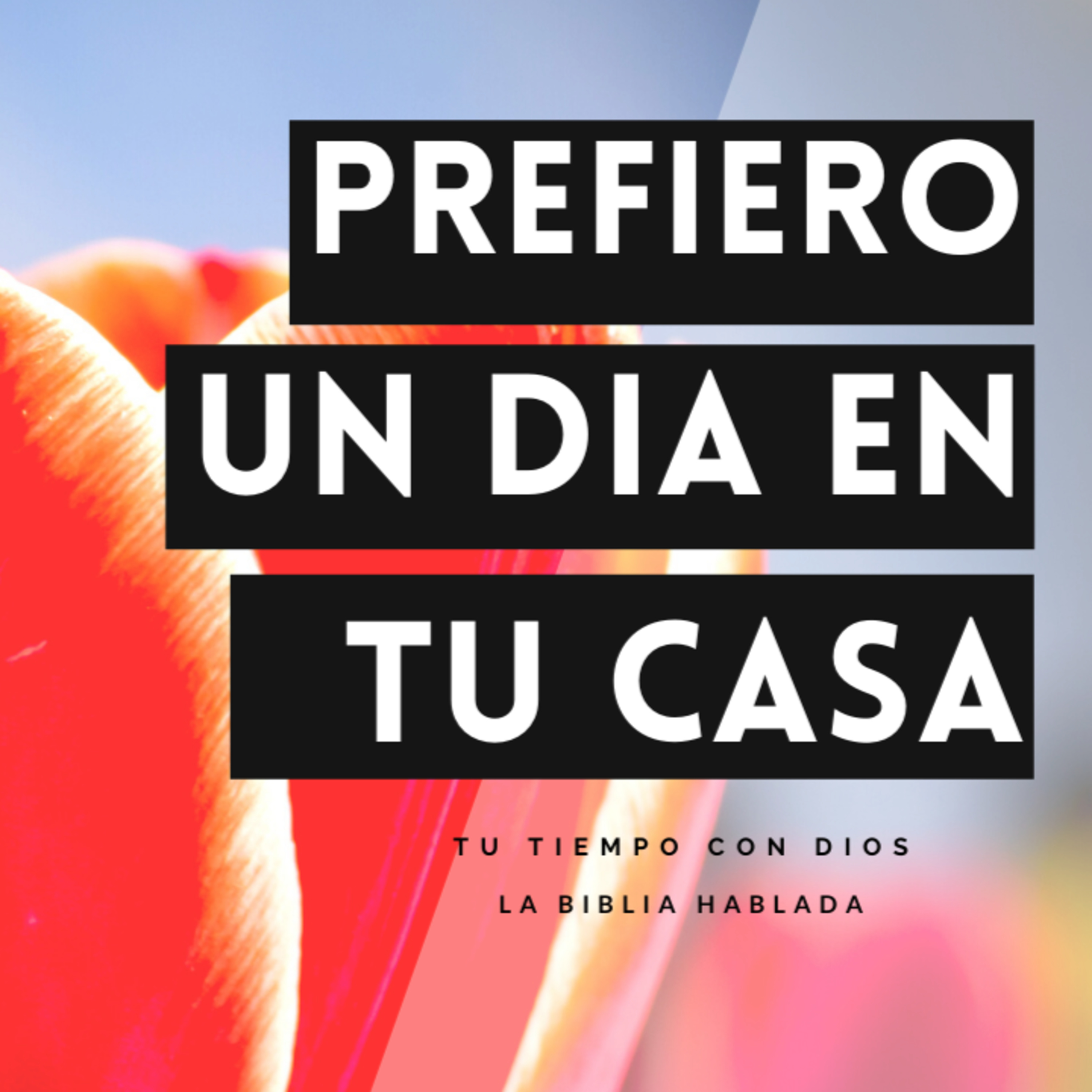 Bienvenidos!!