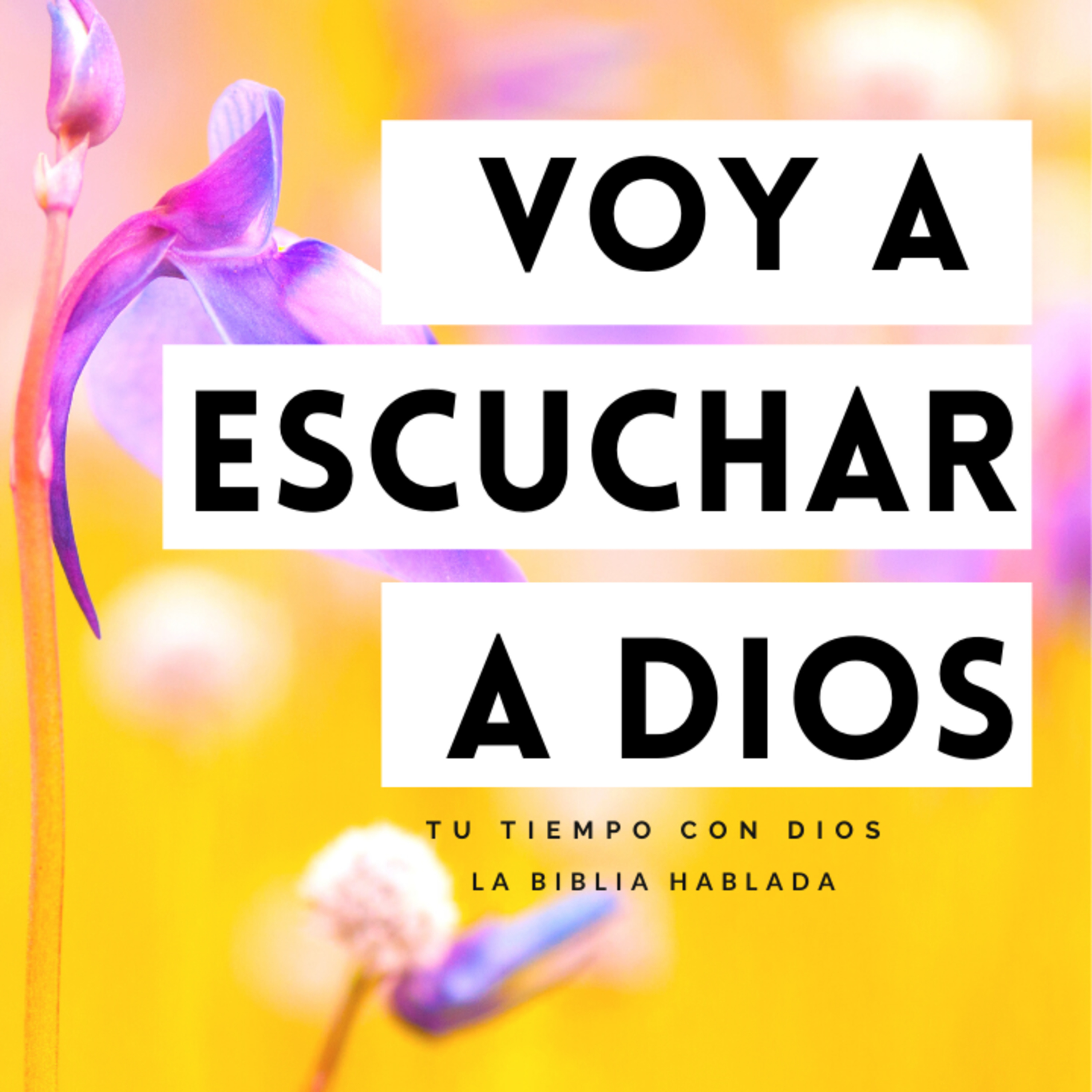 Bienvenidos!!