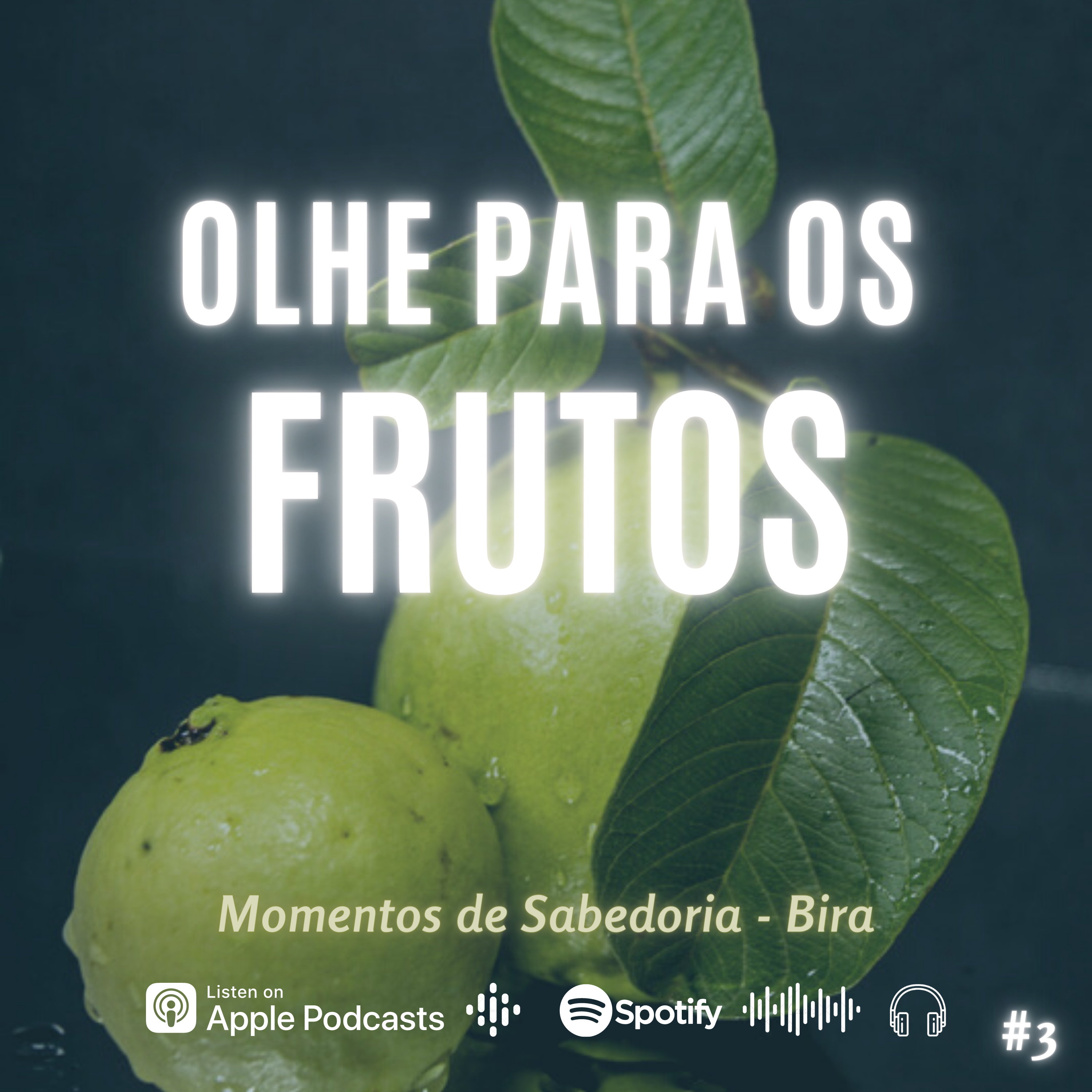 Momentos De Sabedoria