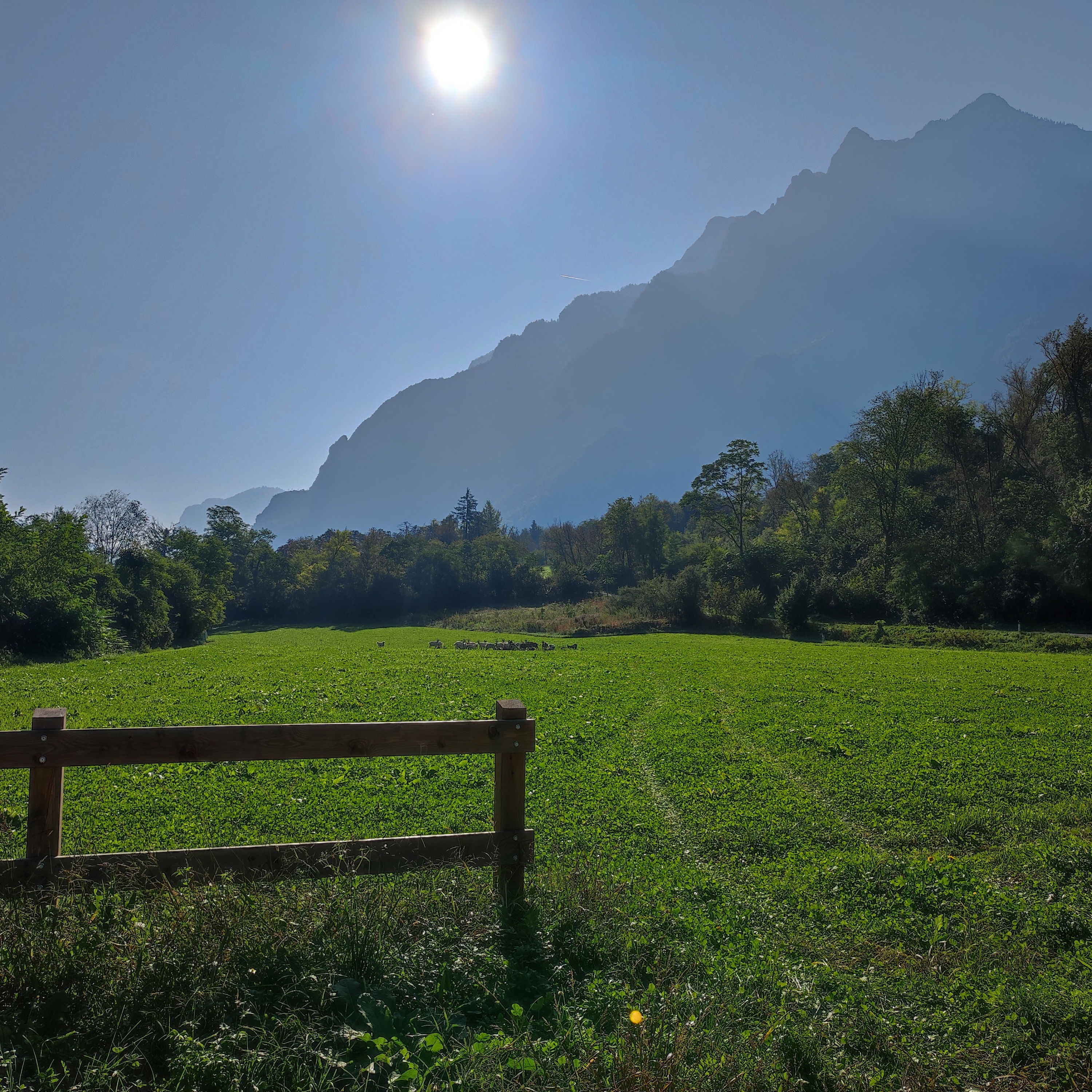 Come Cavalcare La Crypto BullRun 2025! EXIT STRATEGY - Bitcoin, Altcoin, ETF, Crypto Fire