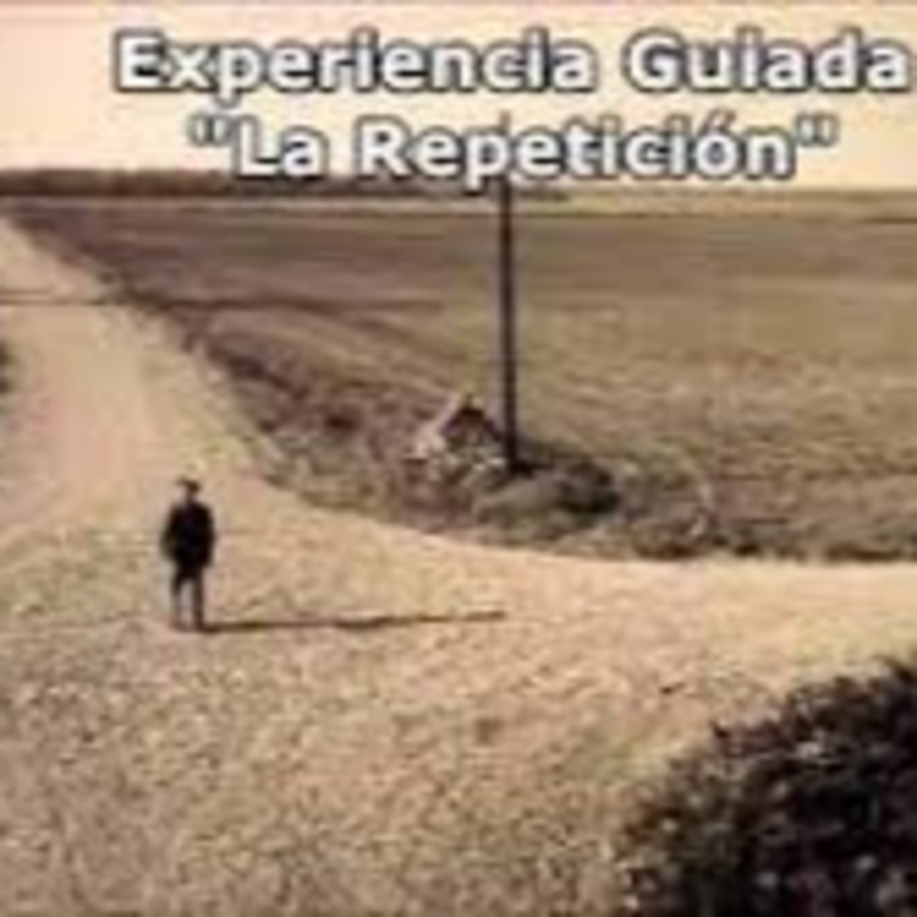 Un mensaje de paz, fuerza y alegría