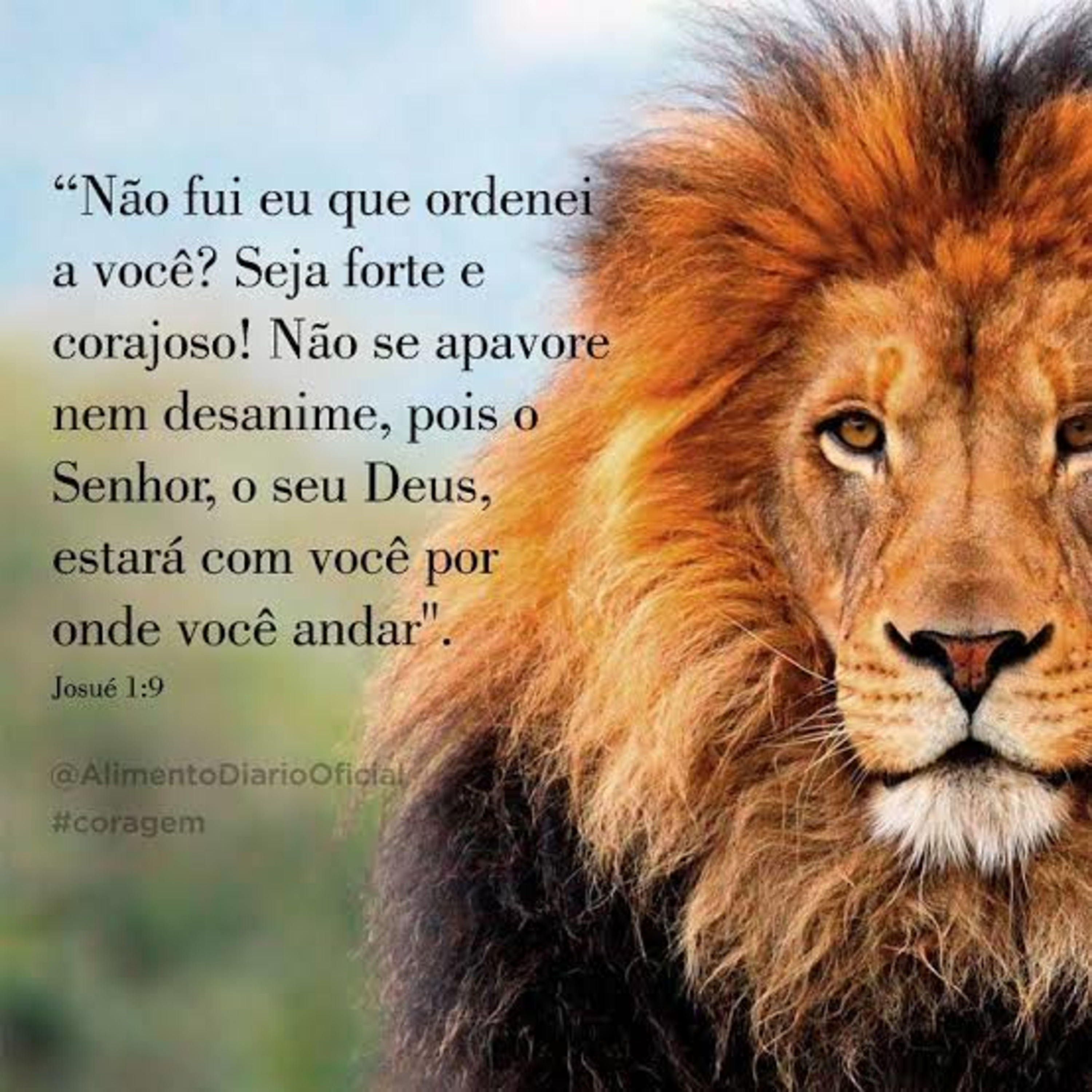 Devocional diário Com Gilberto Dos Anjos