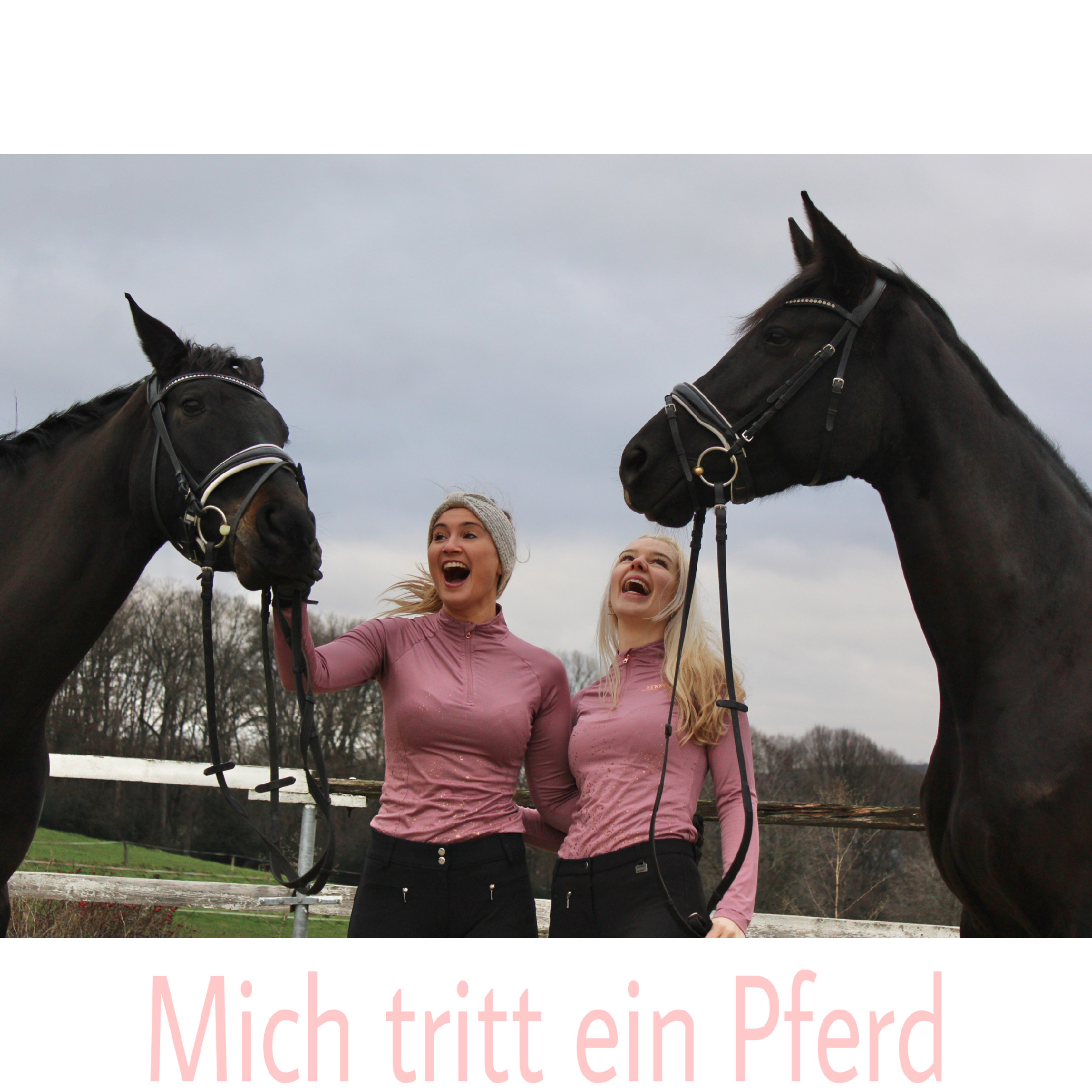 Mich tritt ein Pferd - Der Reitsportpodcast