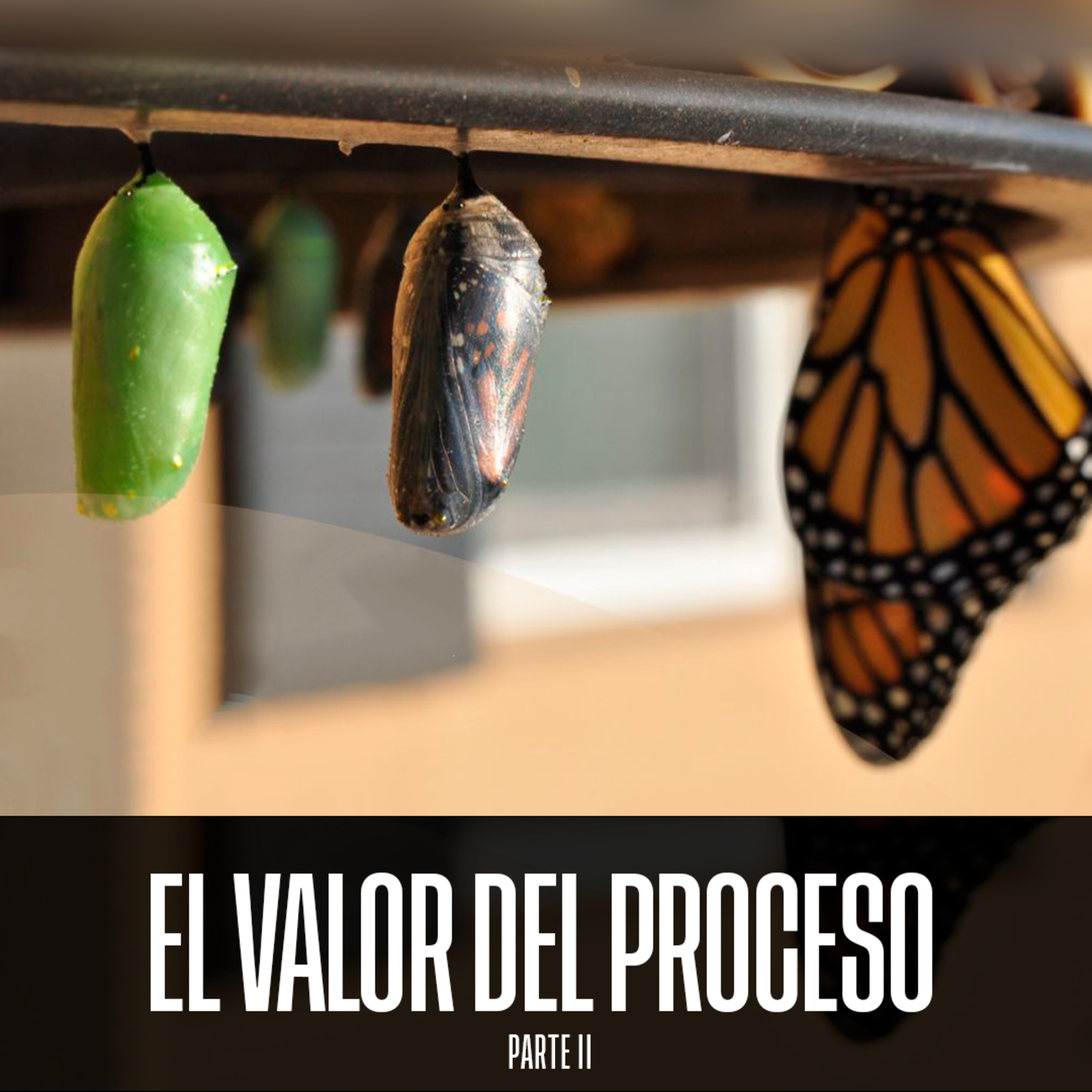 El Valor del Proceso - Parte II episode artwork