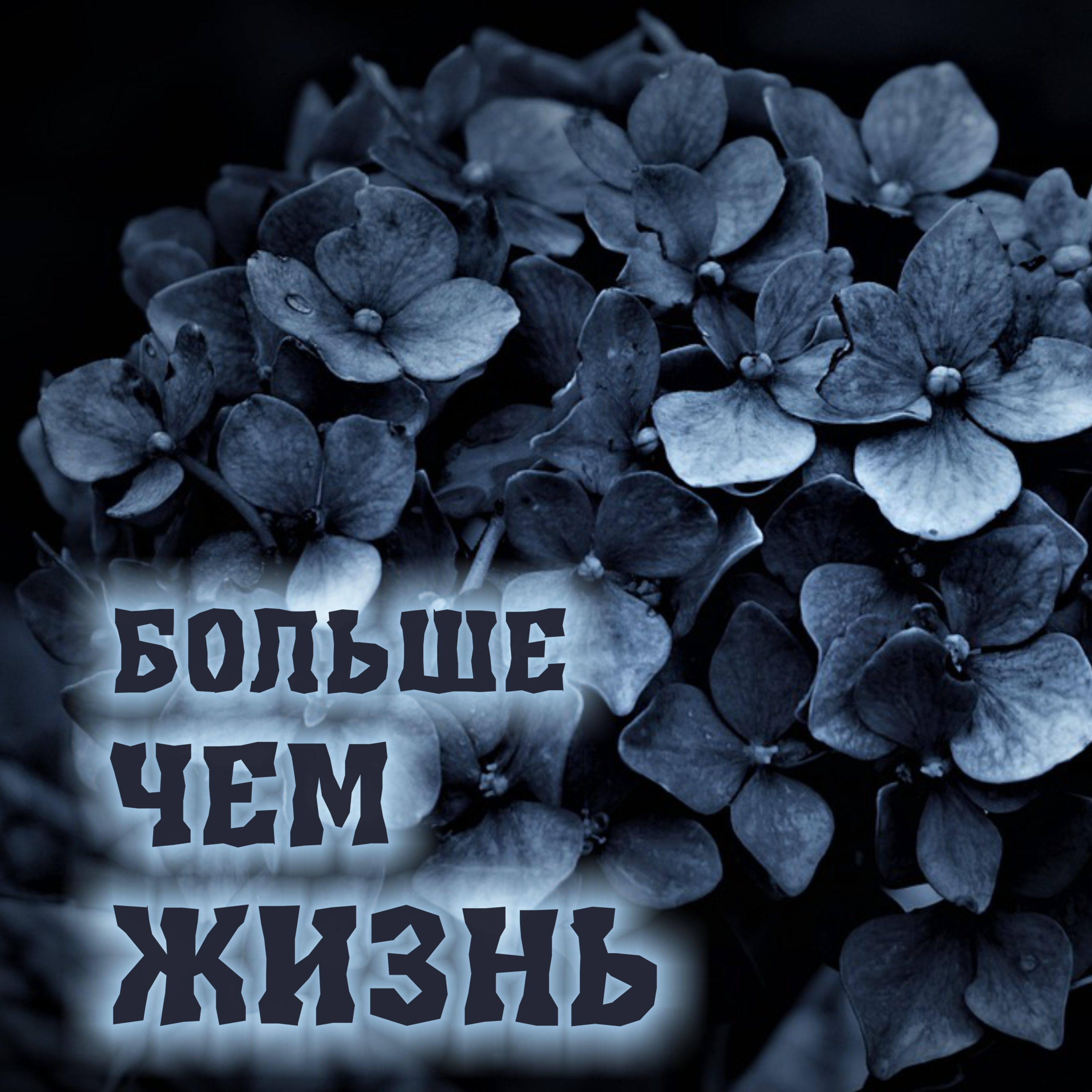 Недельная глава Шмини. Больше чем жизнь episode artwork