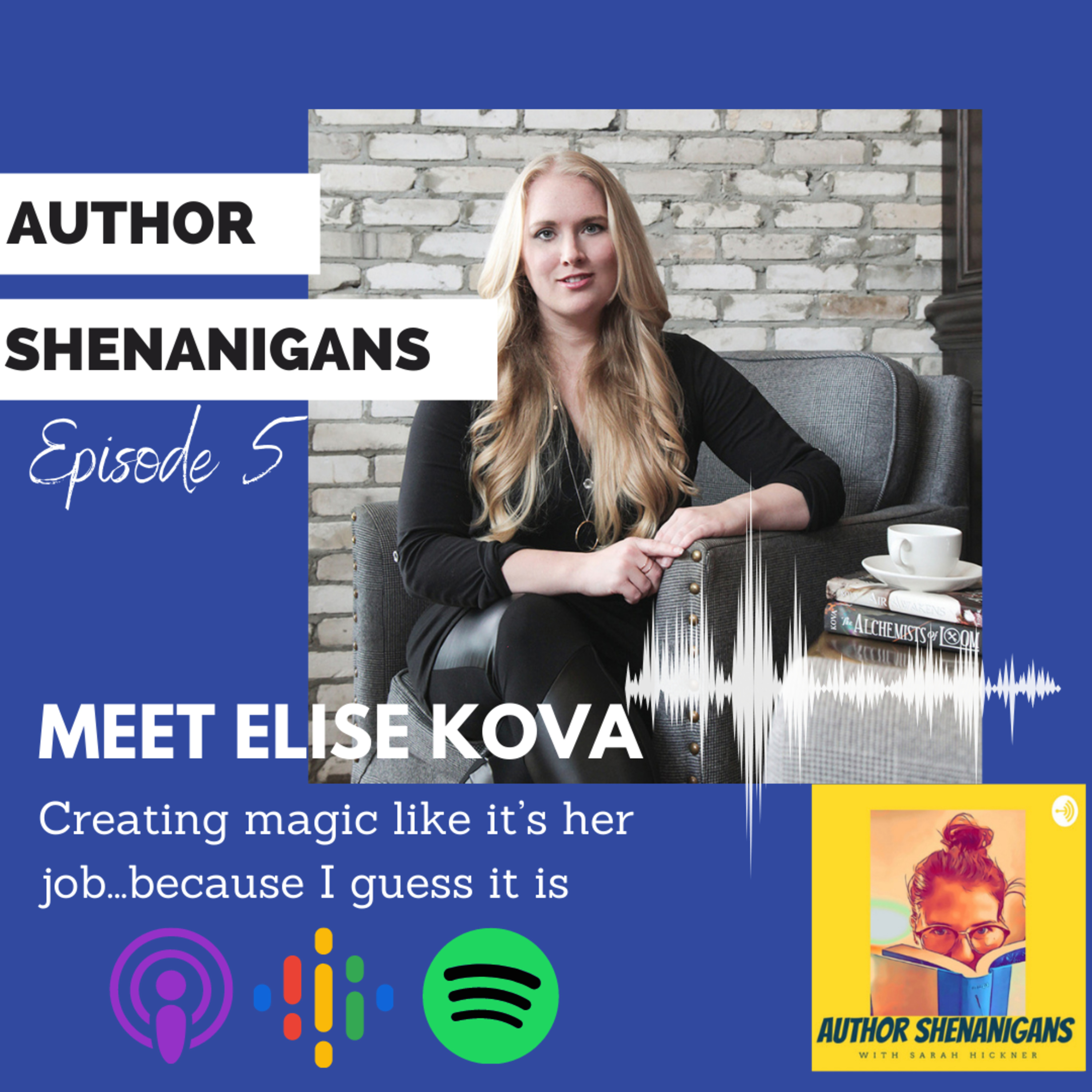Author Shenanigans Podcast