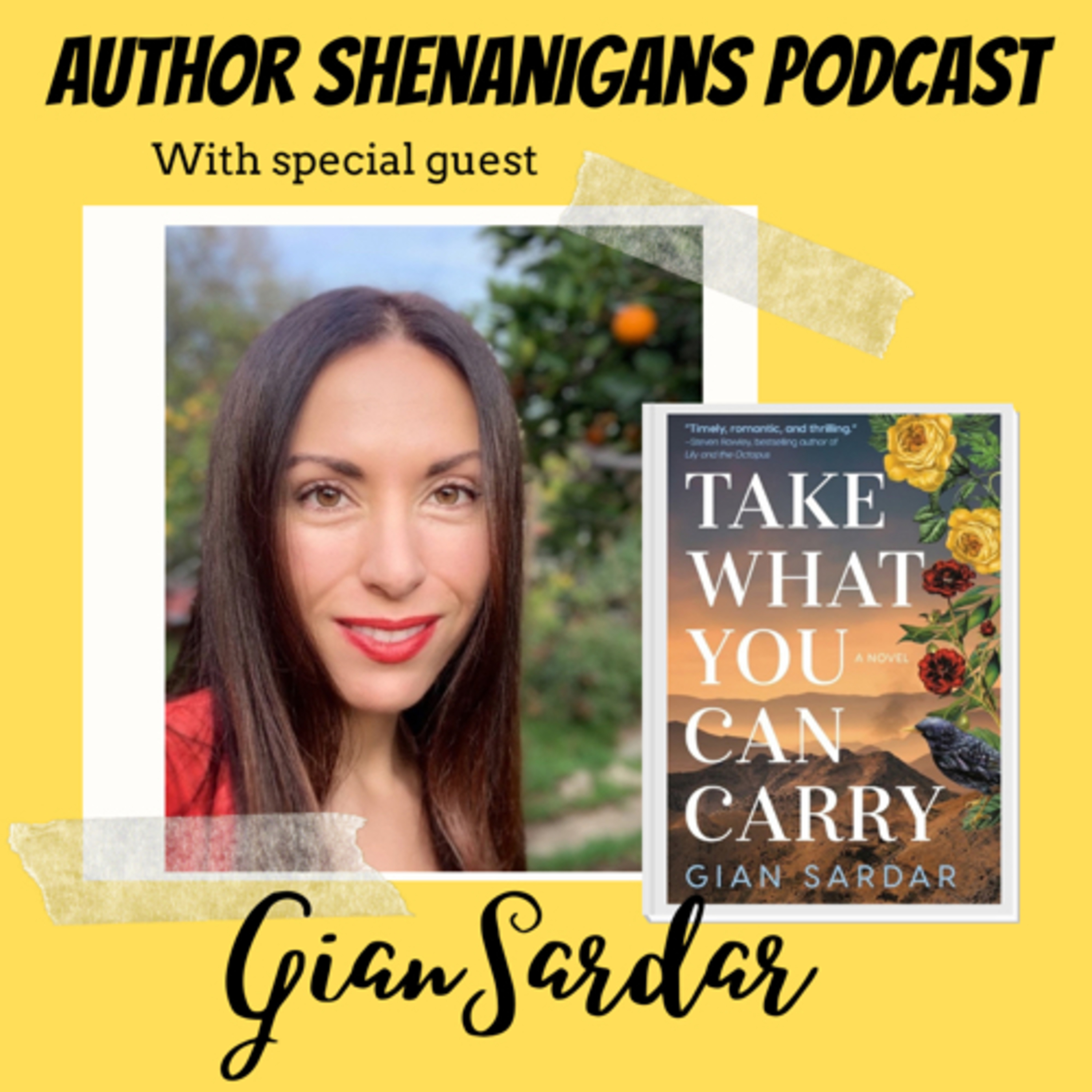 Author Shenanigans Podcast