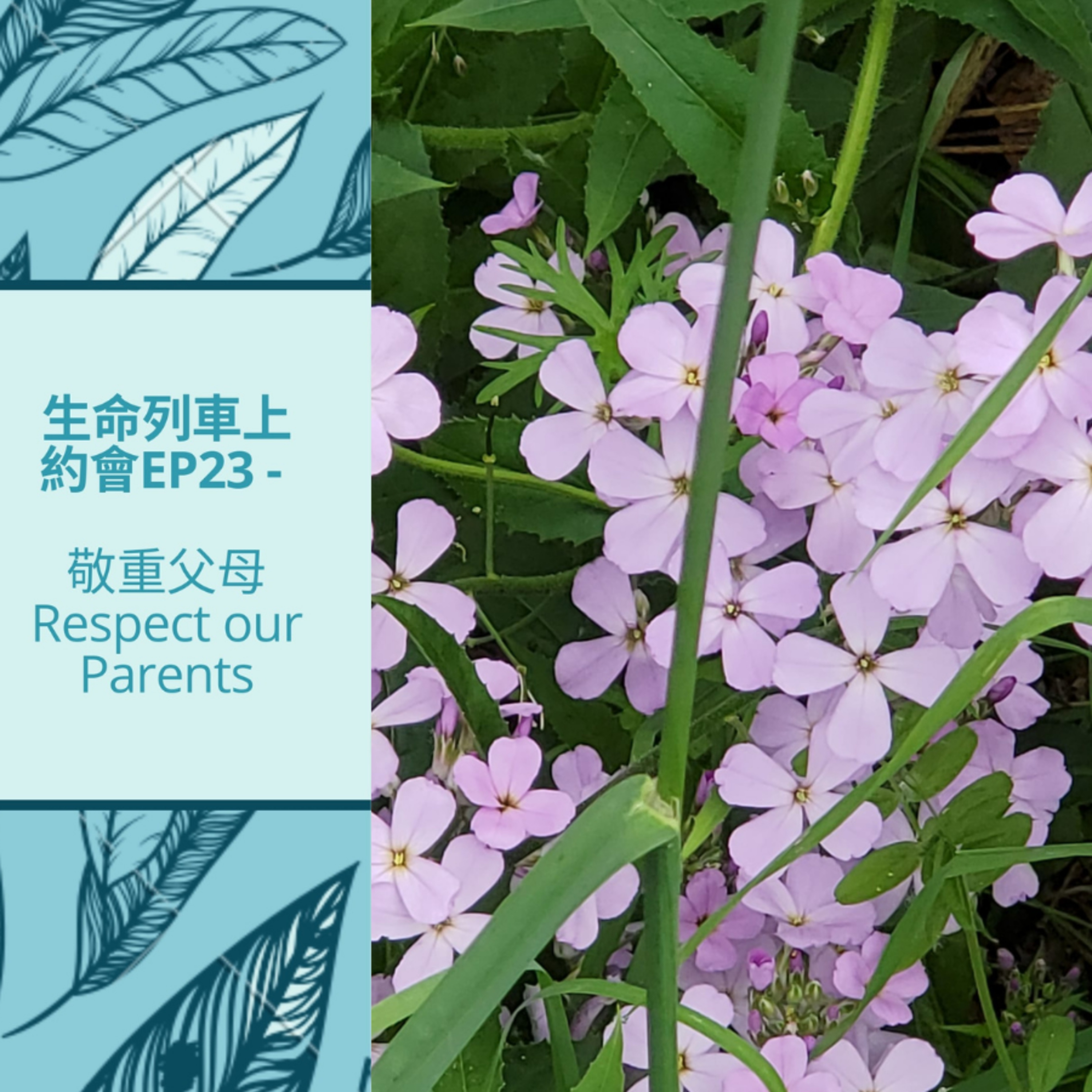 生命列車上約會 (廣東話｜粵語｜中文Podcast)