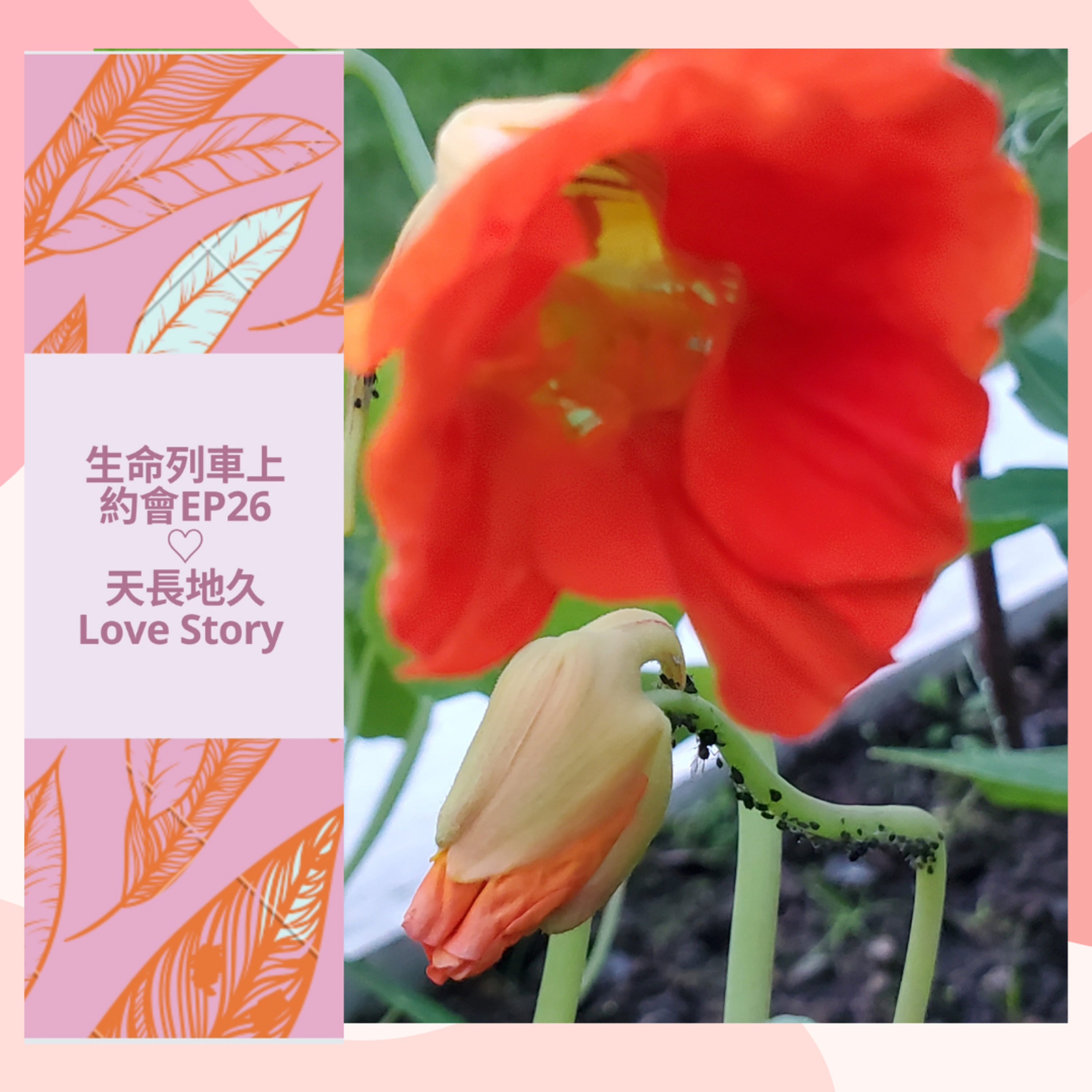 生命列車上約會 (廣東話｜粵語｜中文Podcast)