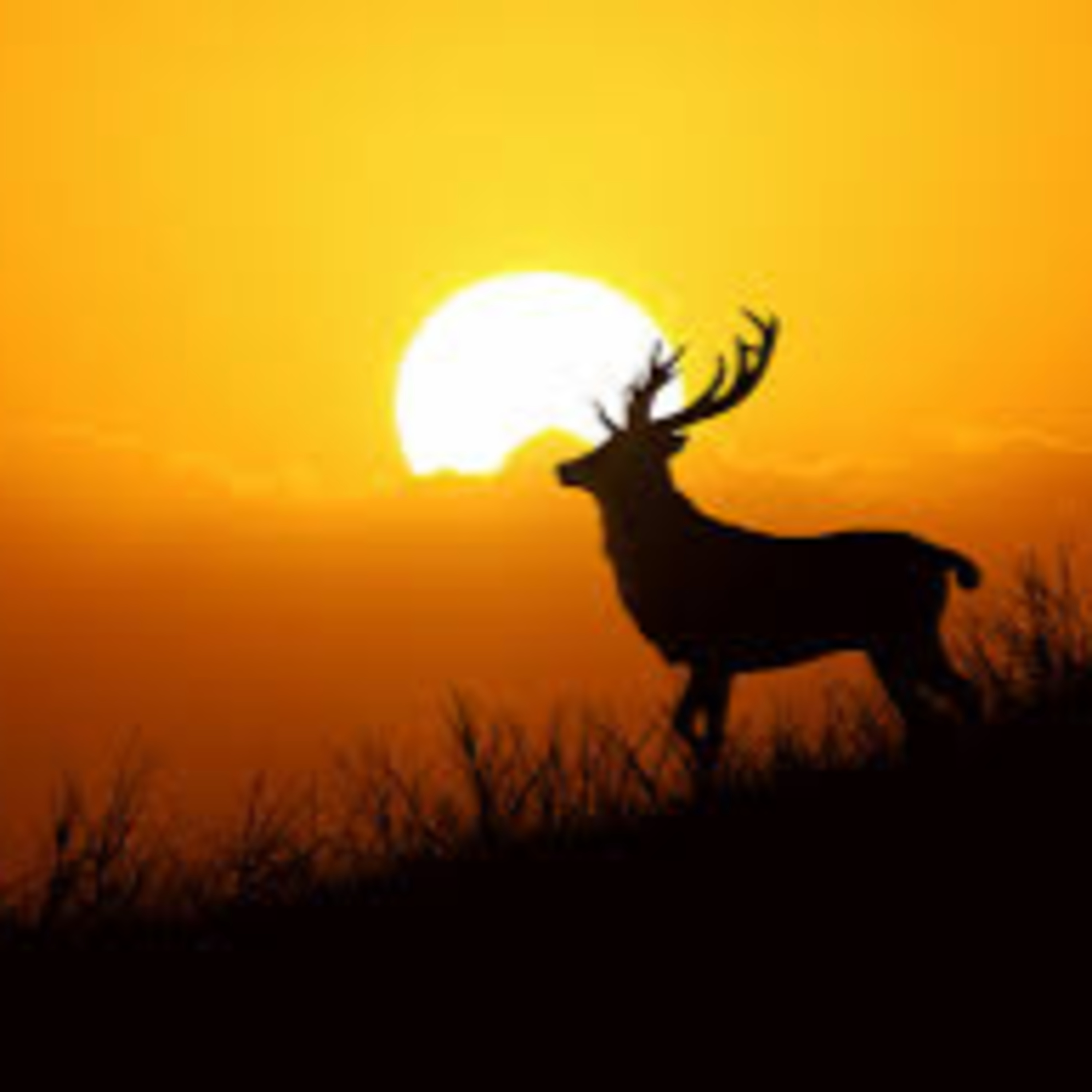 Meditaion music , self healing , relaxing music- MEDITATE SELF