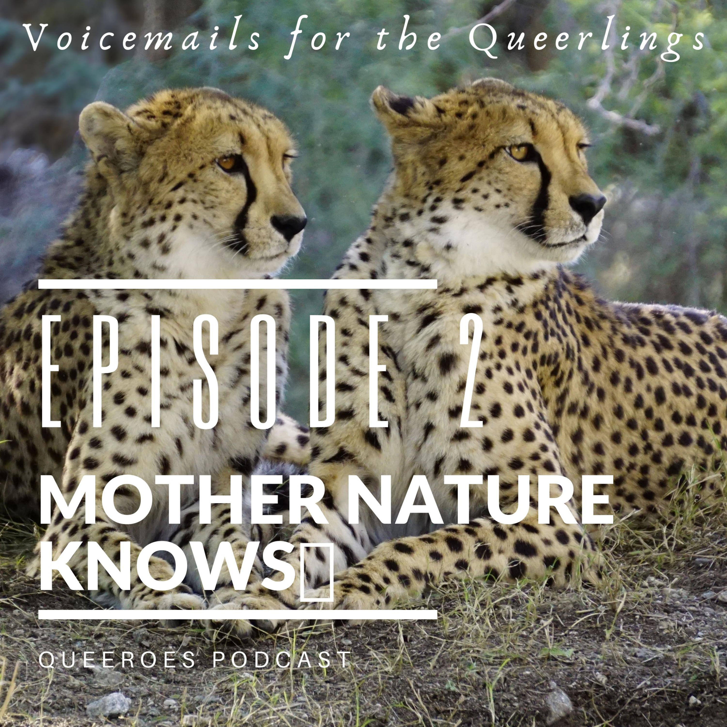 Queeroes Podcast on Jamit