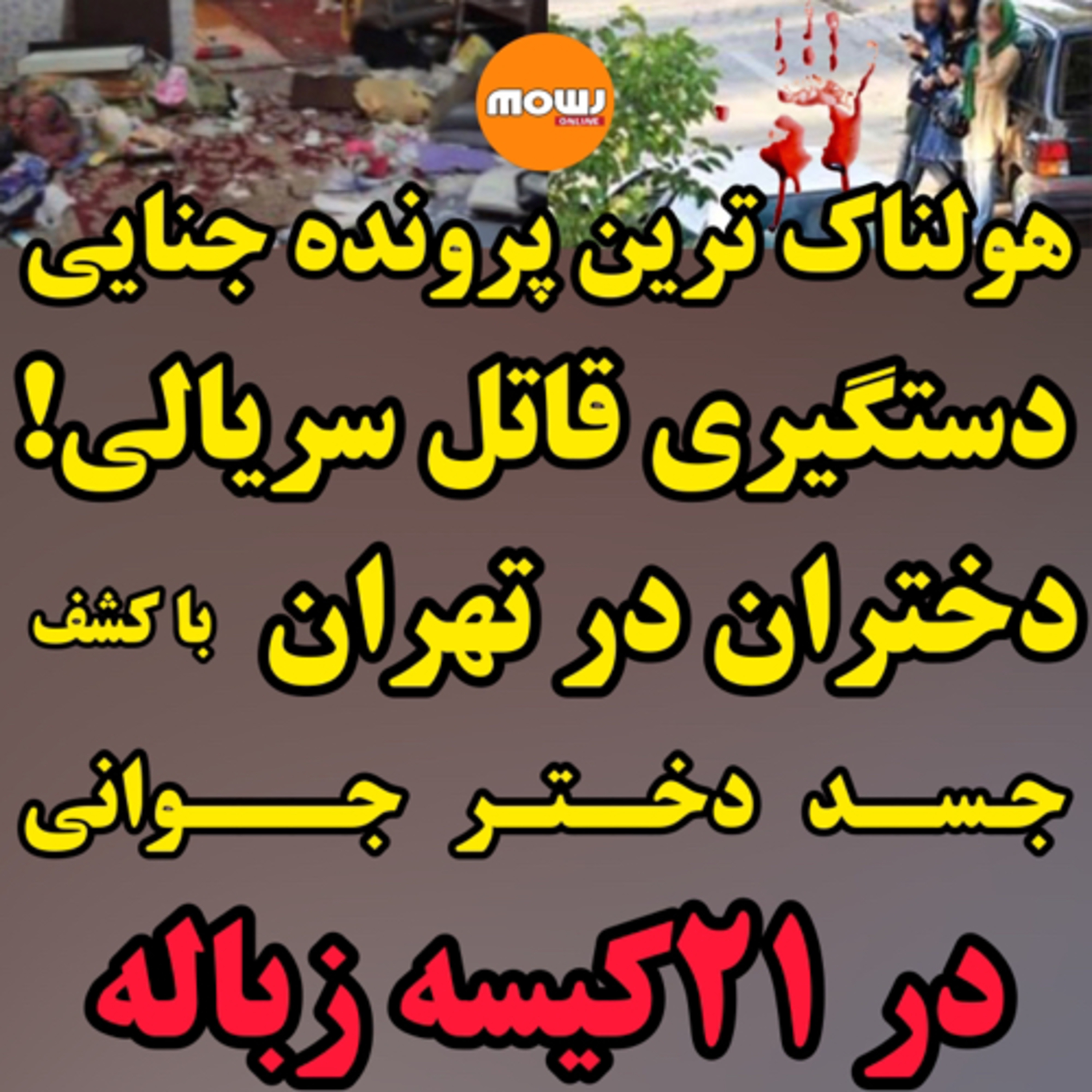 کاور هولناک ترین پرونده جنایی سال و دستگیری قاتل سریالی دختران تهرانی و کشف جسد دختری در ۲۱ کیسه زباله