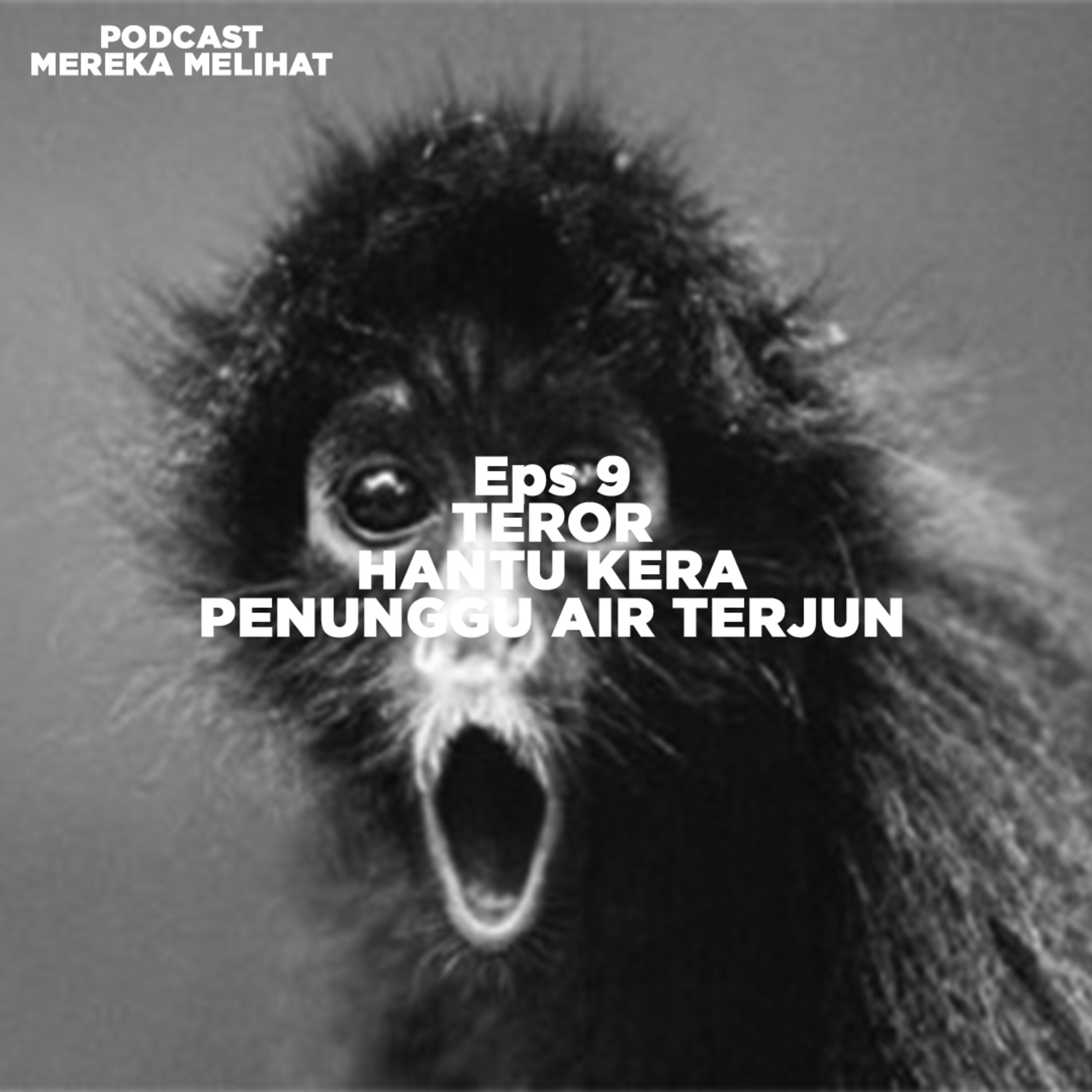 Podcast Mereka Melihat