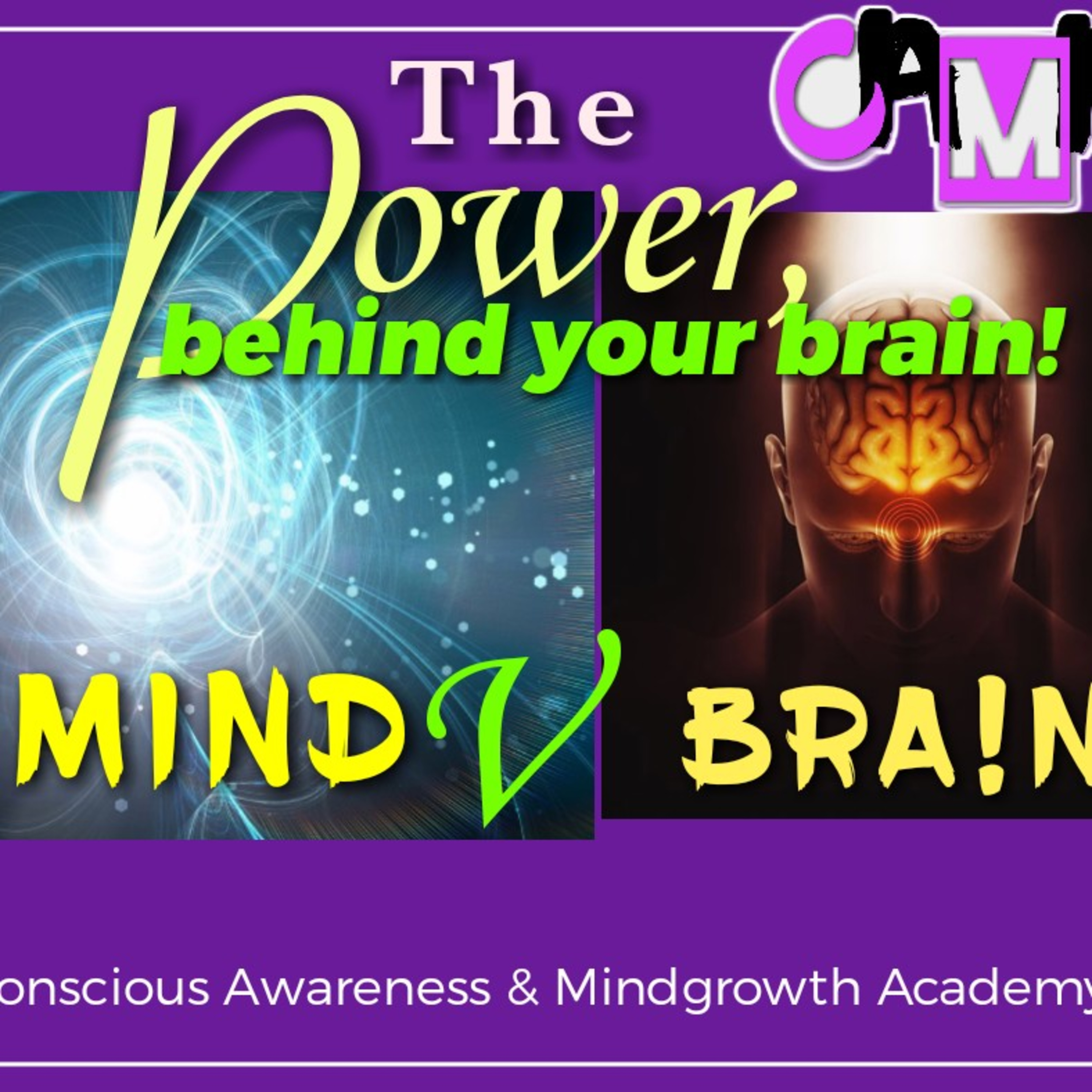 Discussion, Mind V Brain. The power behind your brain! Gardner & Lulu
