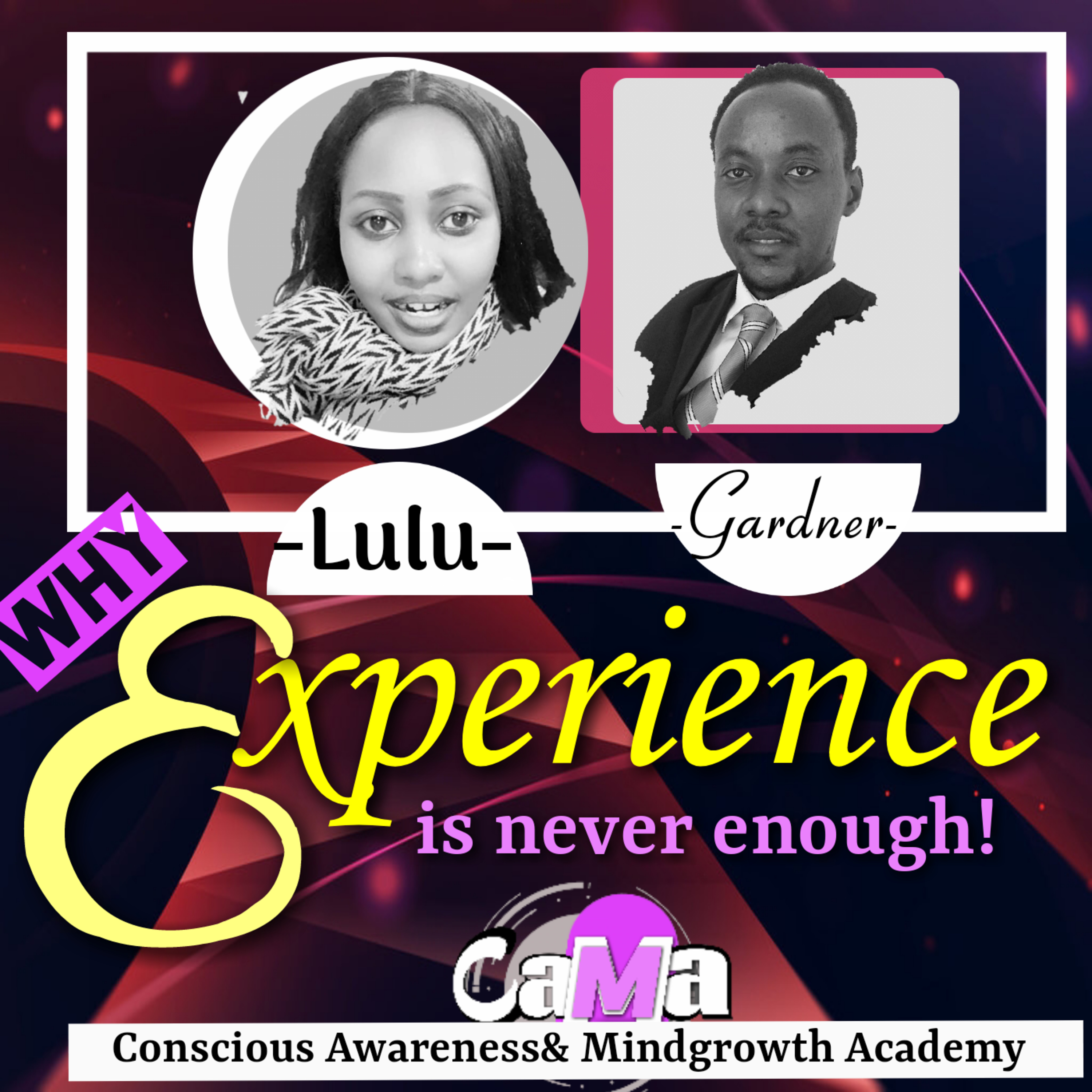 Discussion66: Why experience is not enough. Gardner RH (Ph.D.) with Lulu