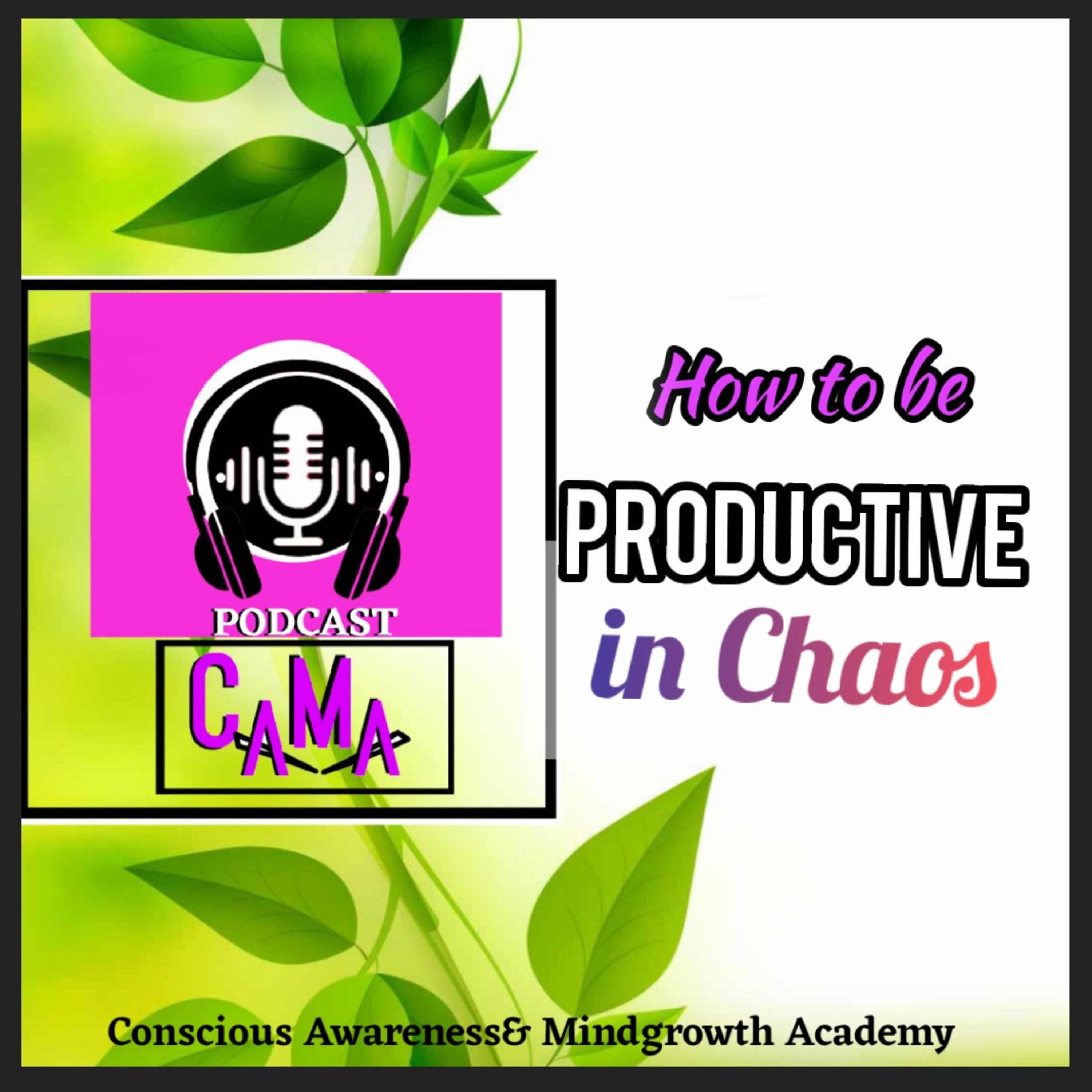 Discussion87: How to be productive in Chaos. Gardner Rh episode artwork