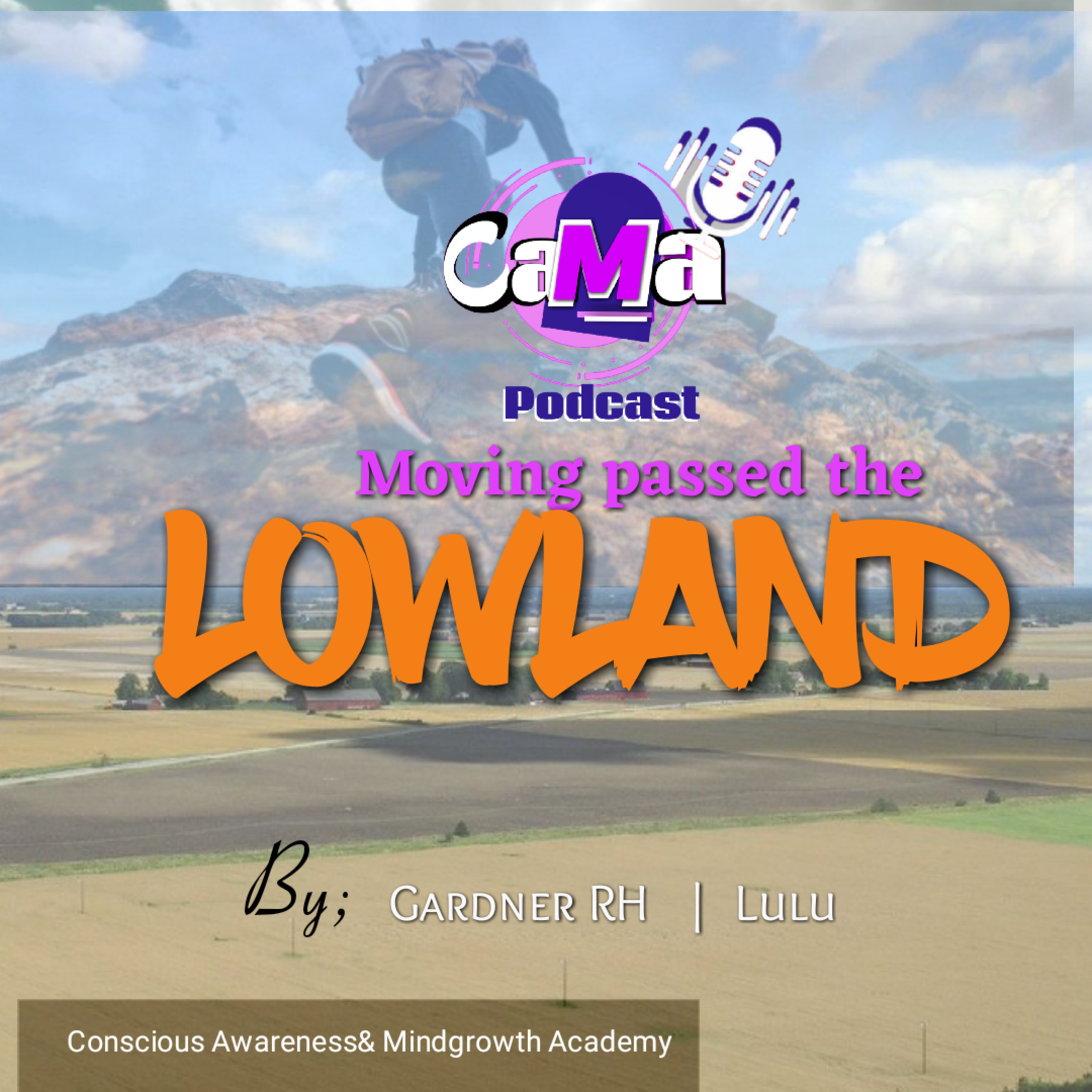 Discussion88: Moving past the lowland. The key to generating ideas. Gardner Rh & Lulu