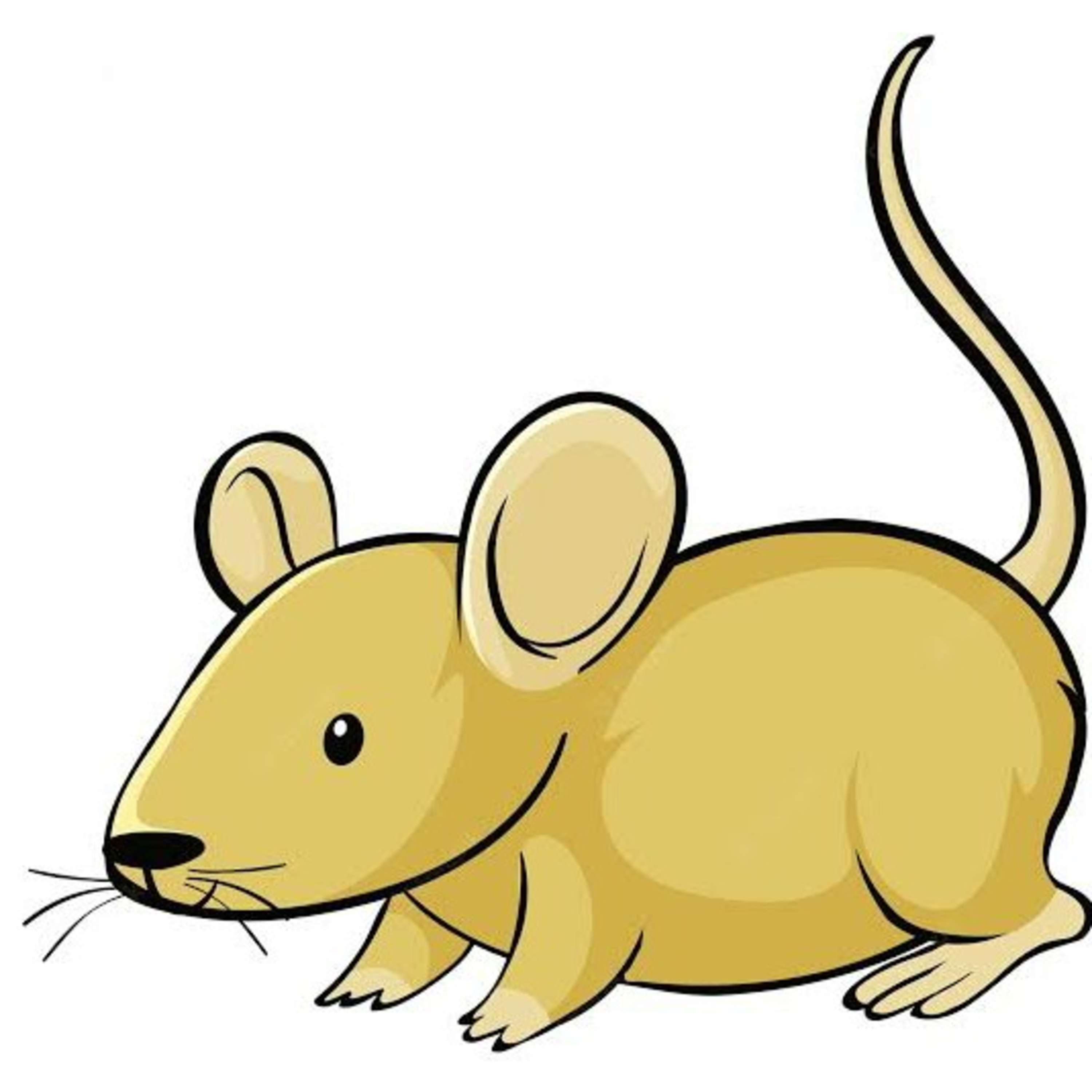 Rato episode artwork