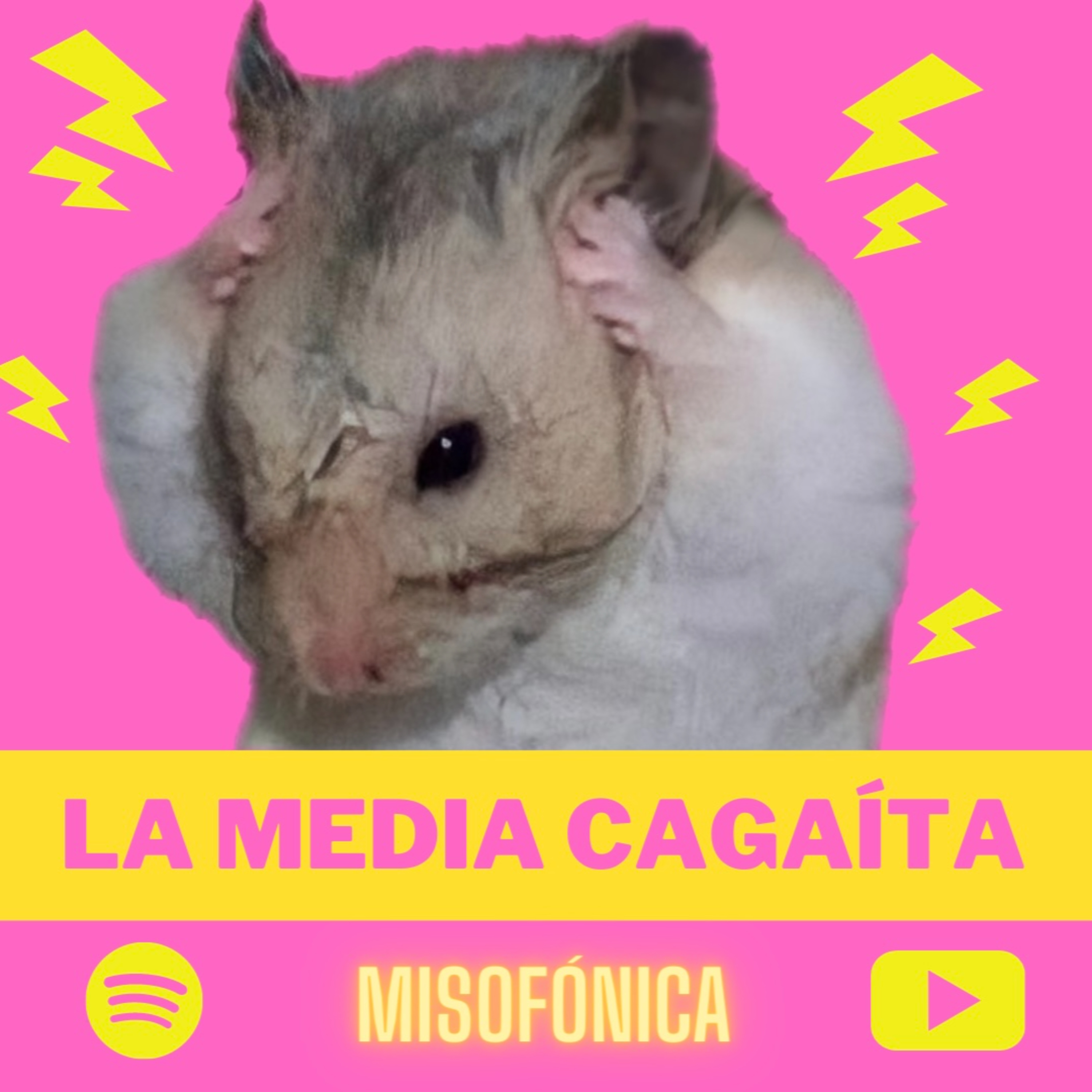 Misofónica