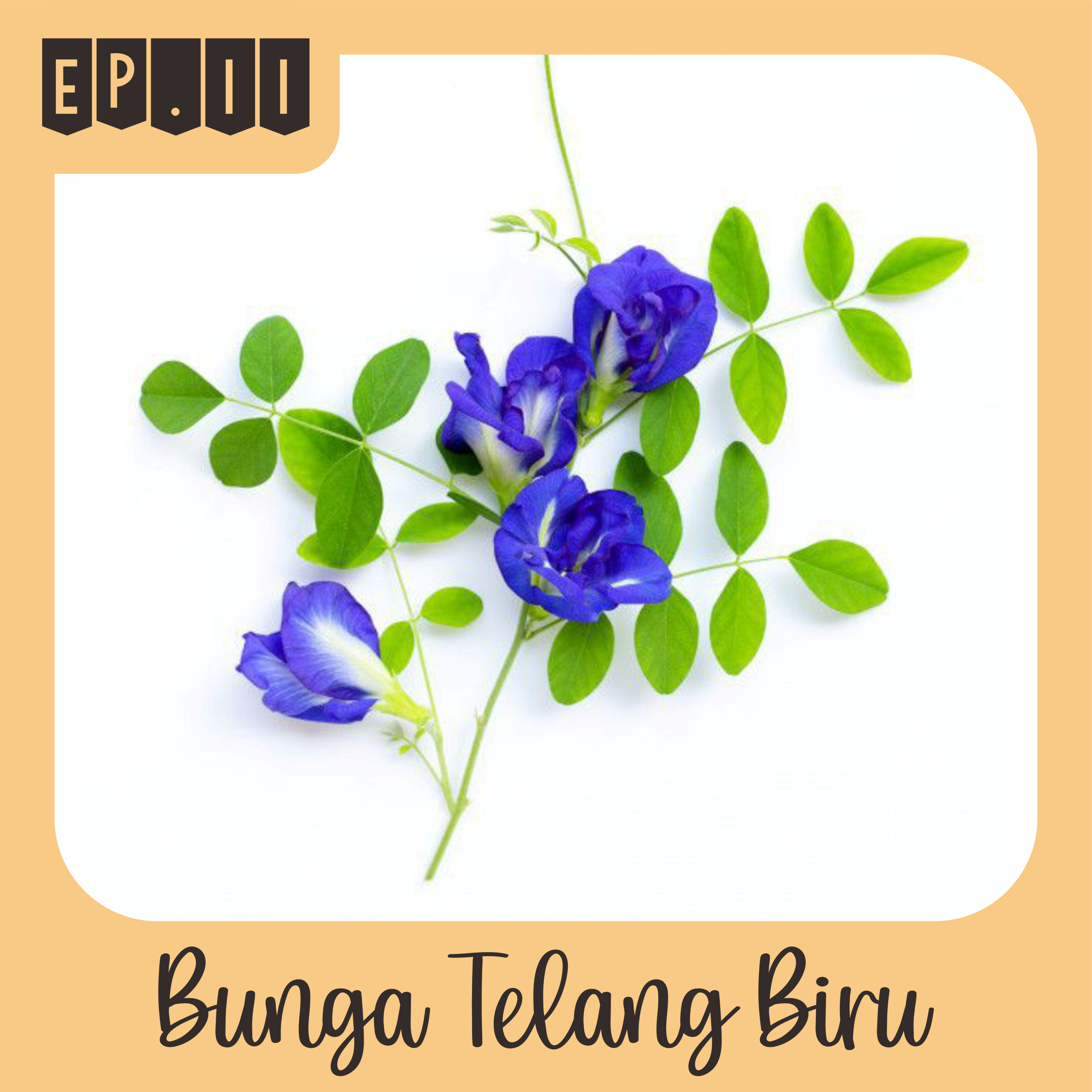 InfoBuatmu.id