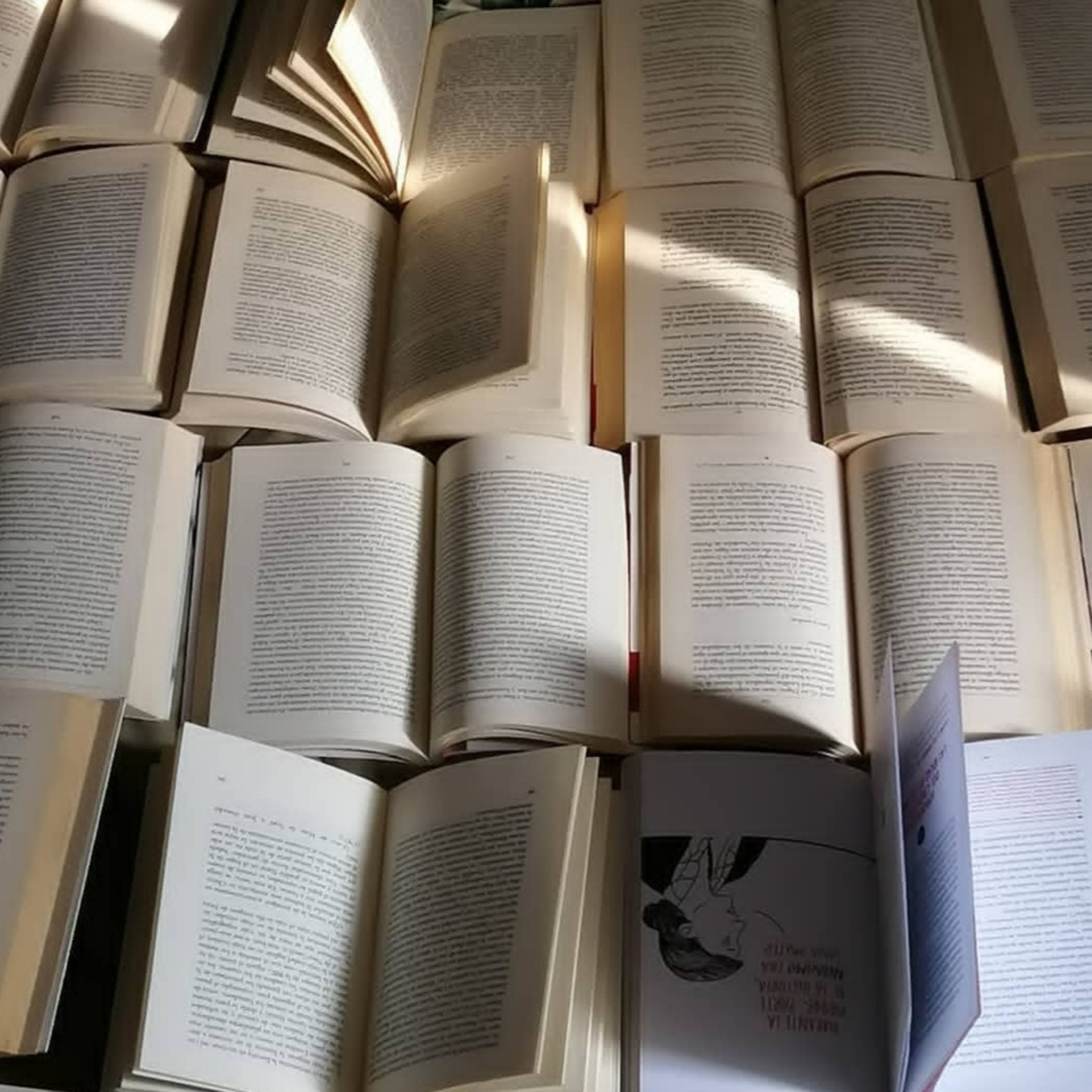 A libro abierto