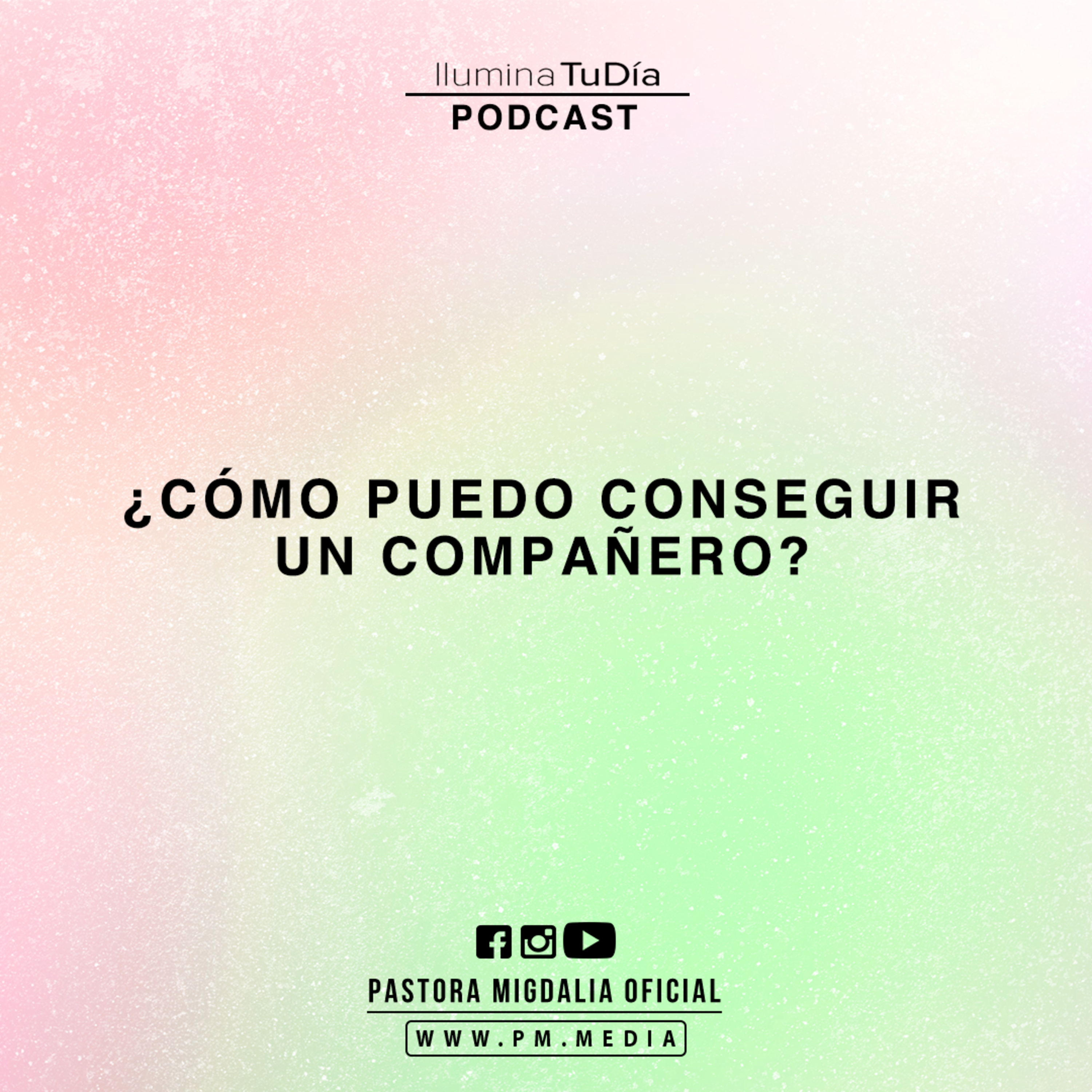 ¿Cómo Puedo Conseguir Un Compañero?