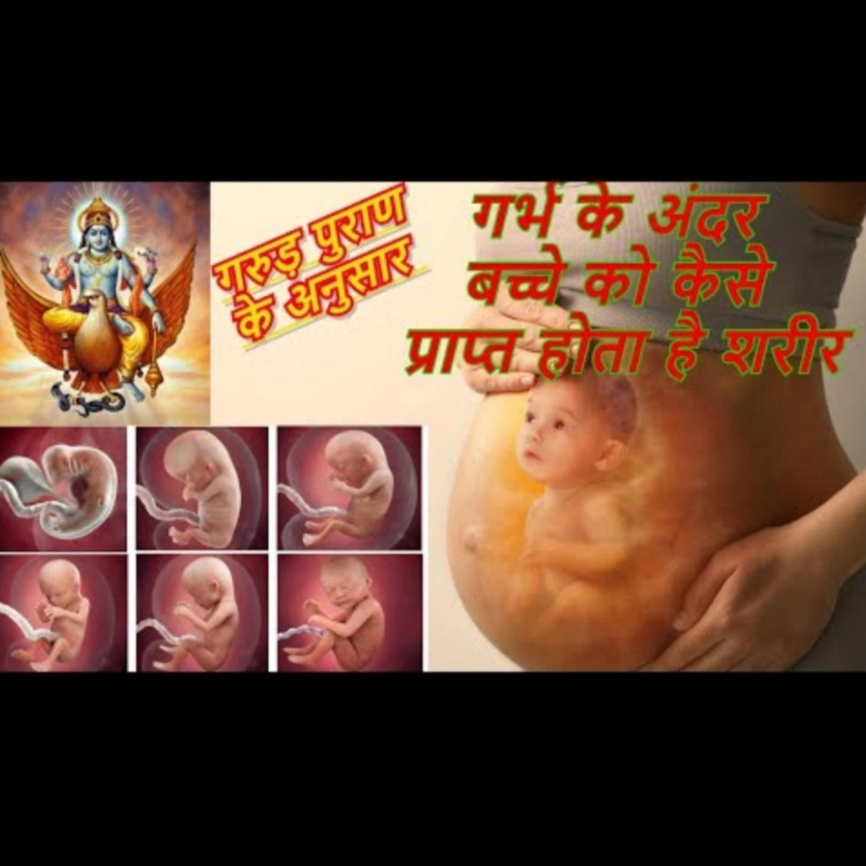 गरुड़ पुराण के अनुसार गर्भ के अंदर बच्चे को कैसे प्राप्त होता है शरीर episode artwork