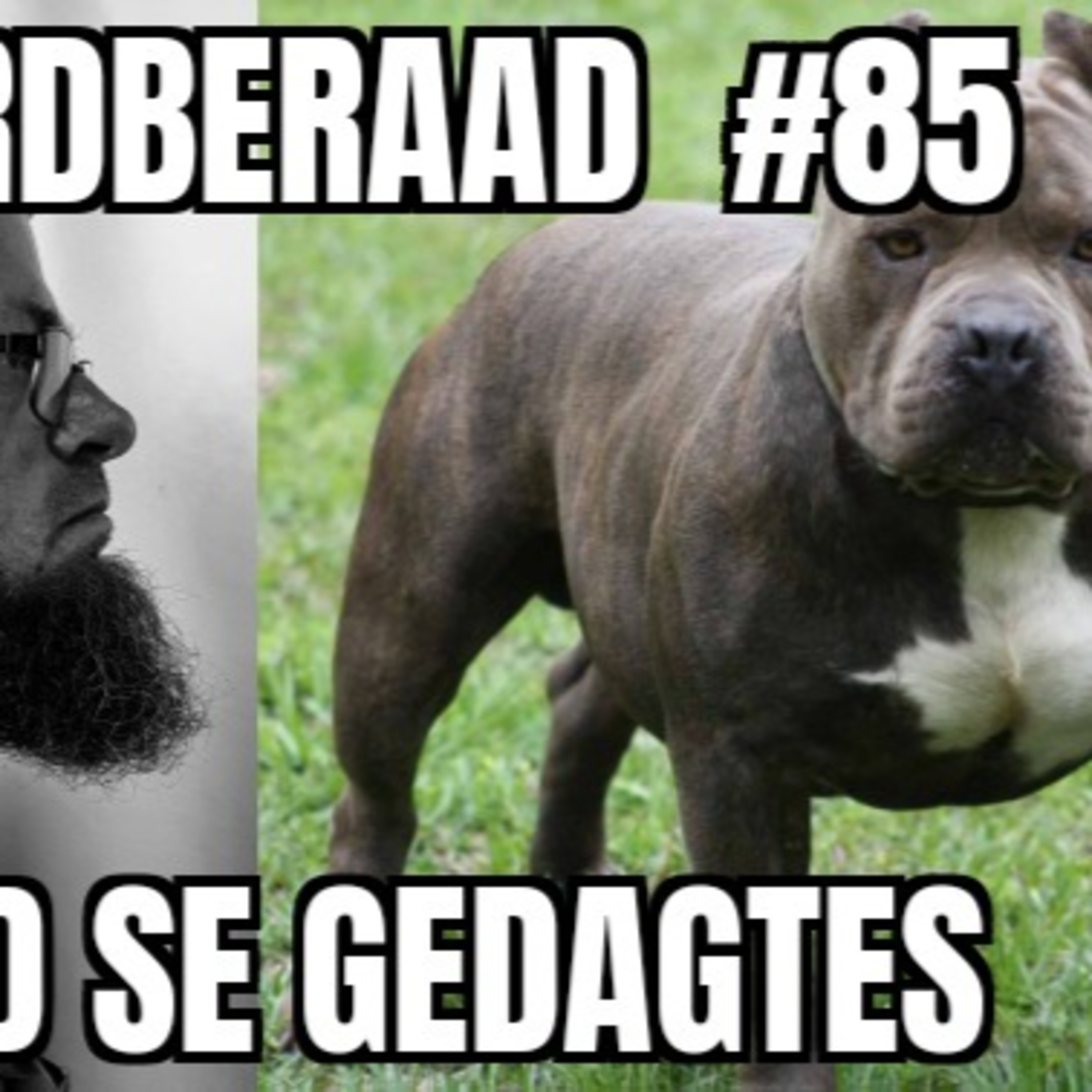 Baardberaad