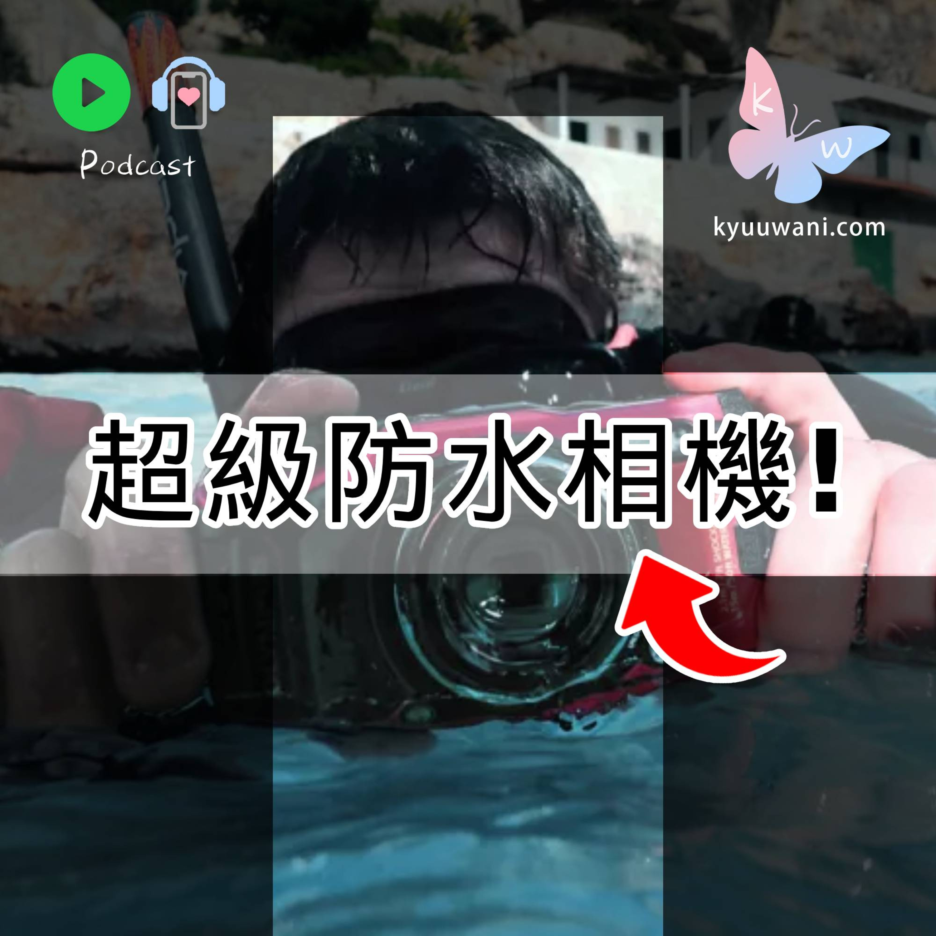 Kyuu & Wani 💮 香港｜粵語
