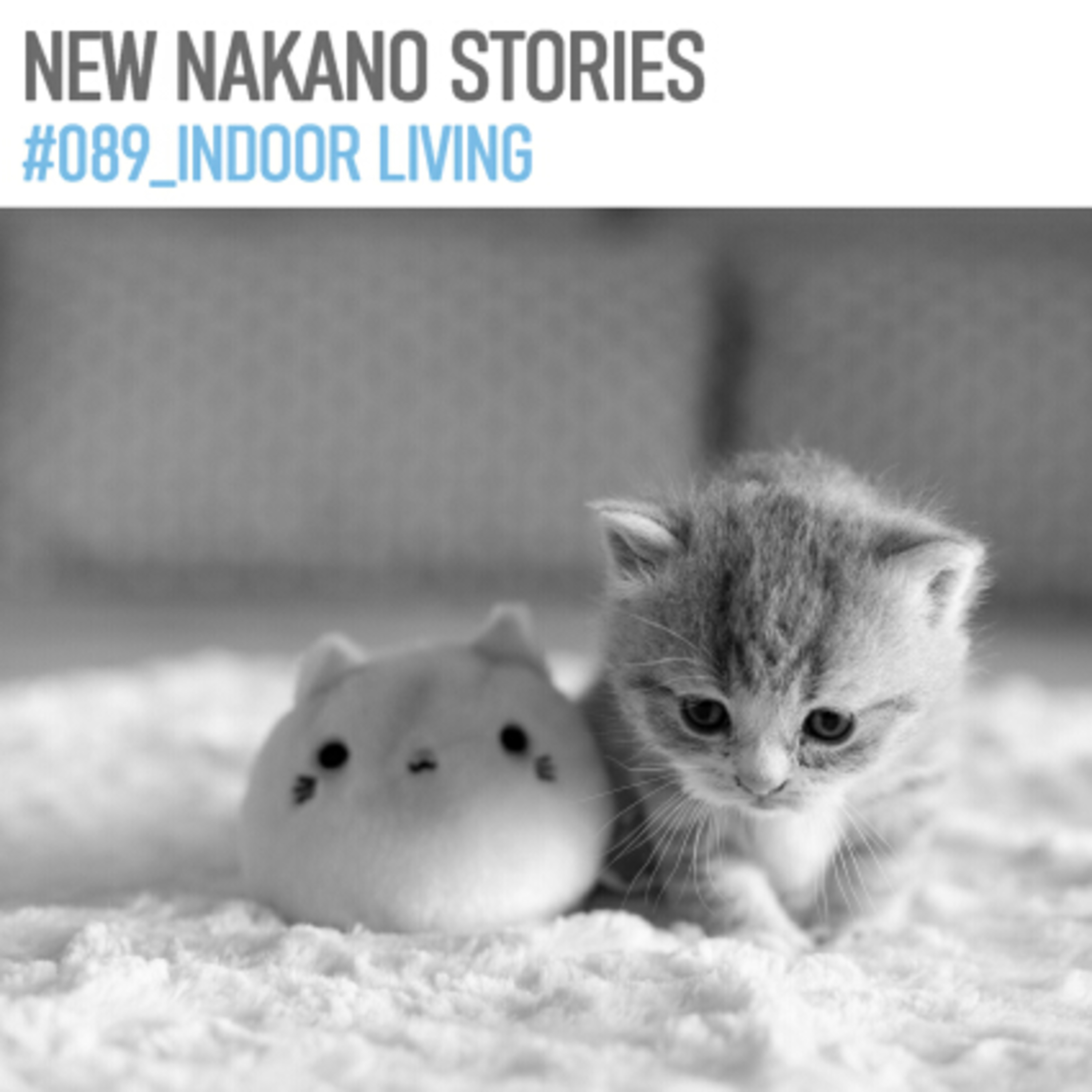 #089_indoor living