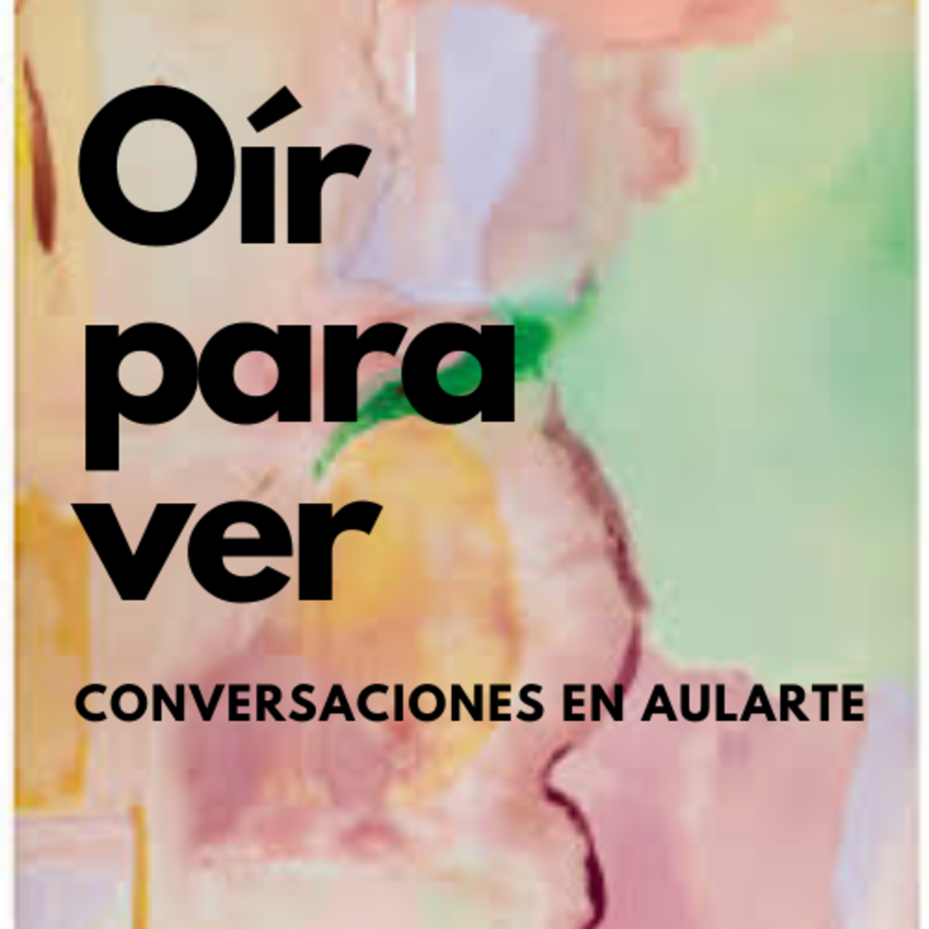 Oír para ver, conversaciones en Aularte