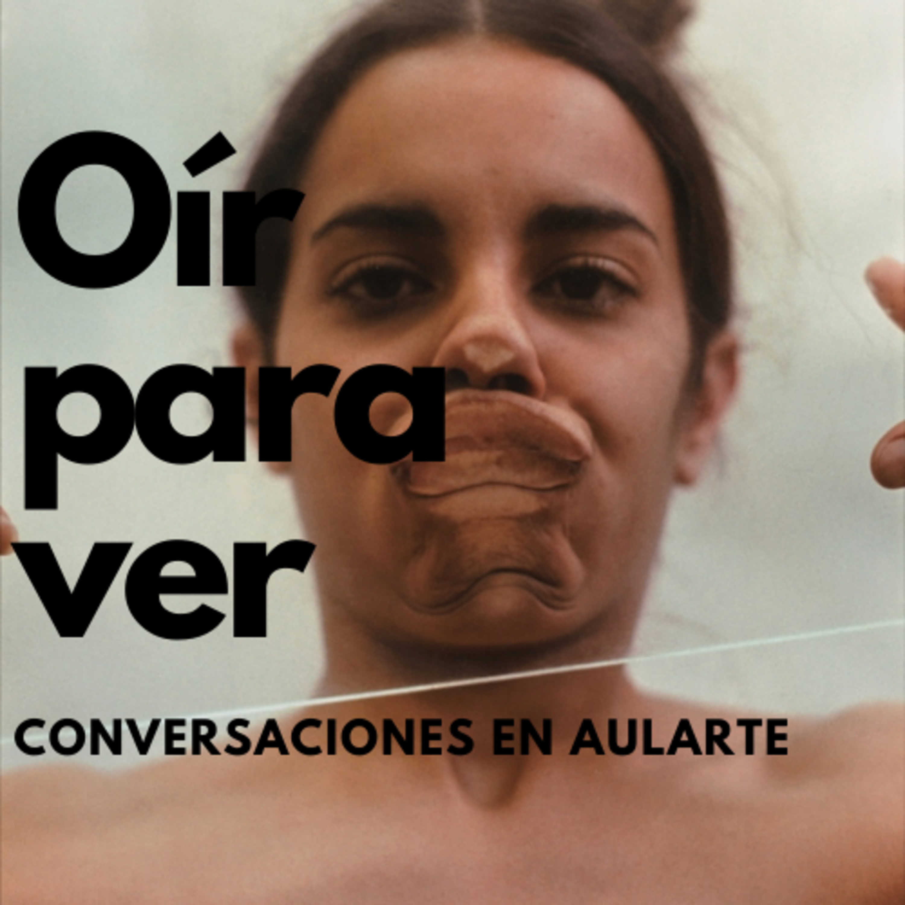 Oír para ver, conversaciones en Aularte