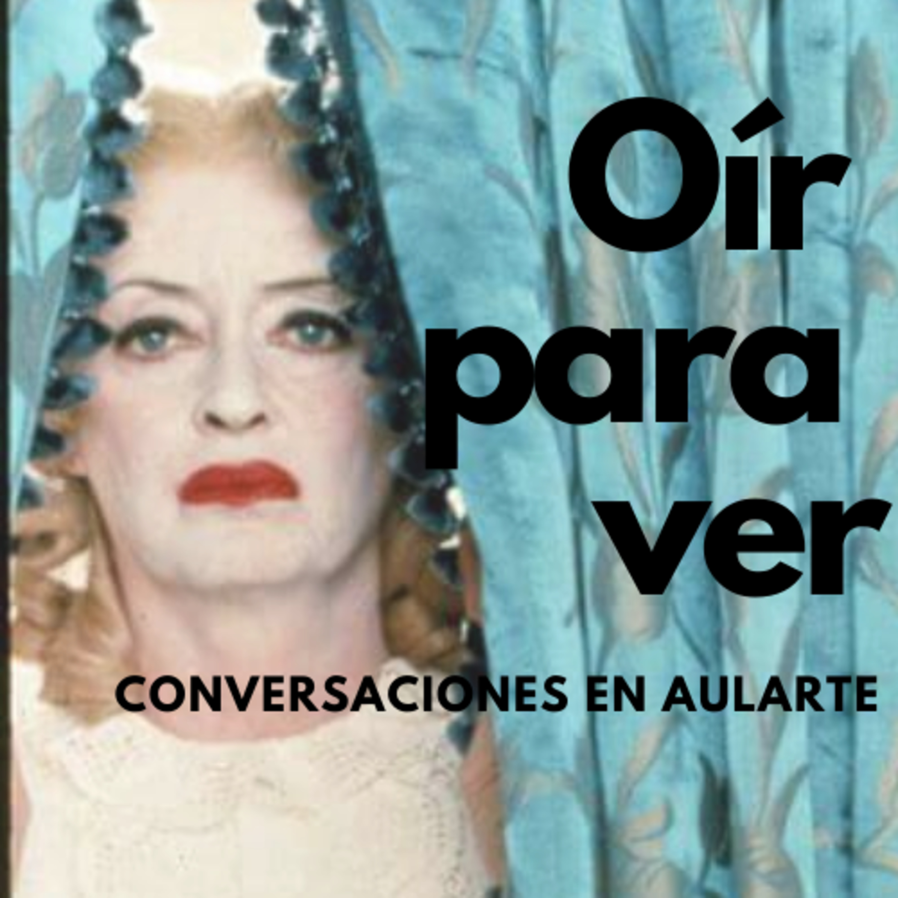 Oír para ver, conversaciones en Aularte