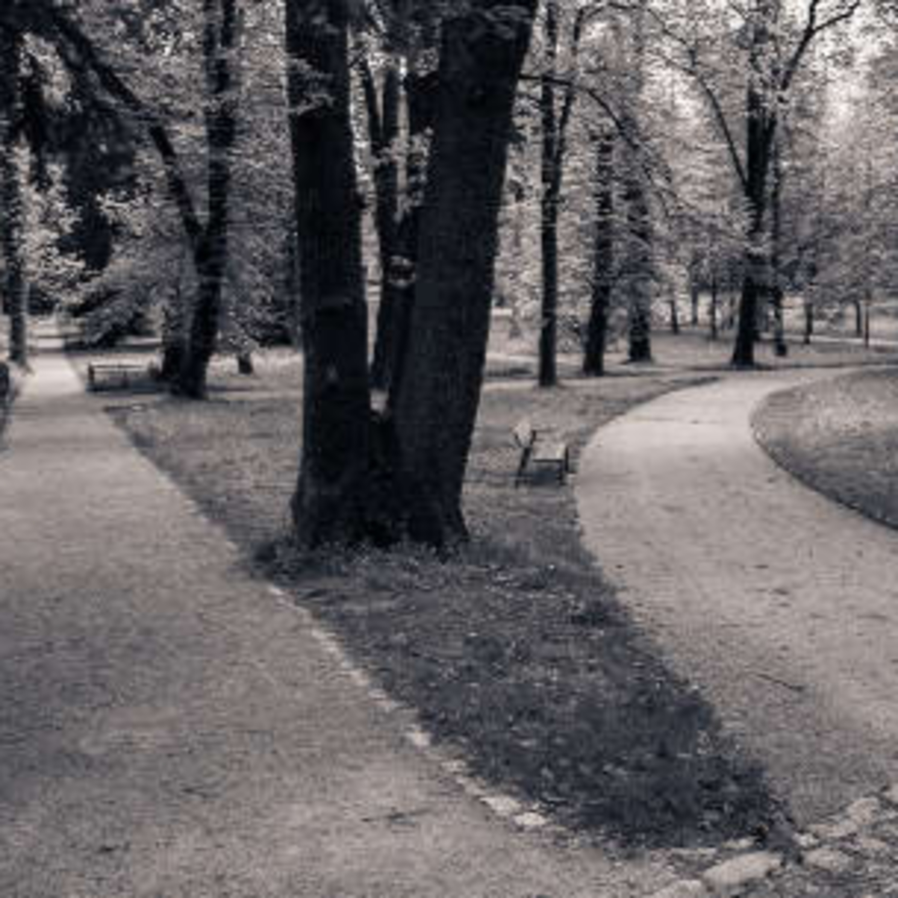 Daily Inspiration: October 6, 2021 episode artwork
