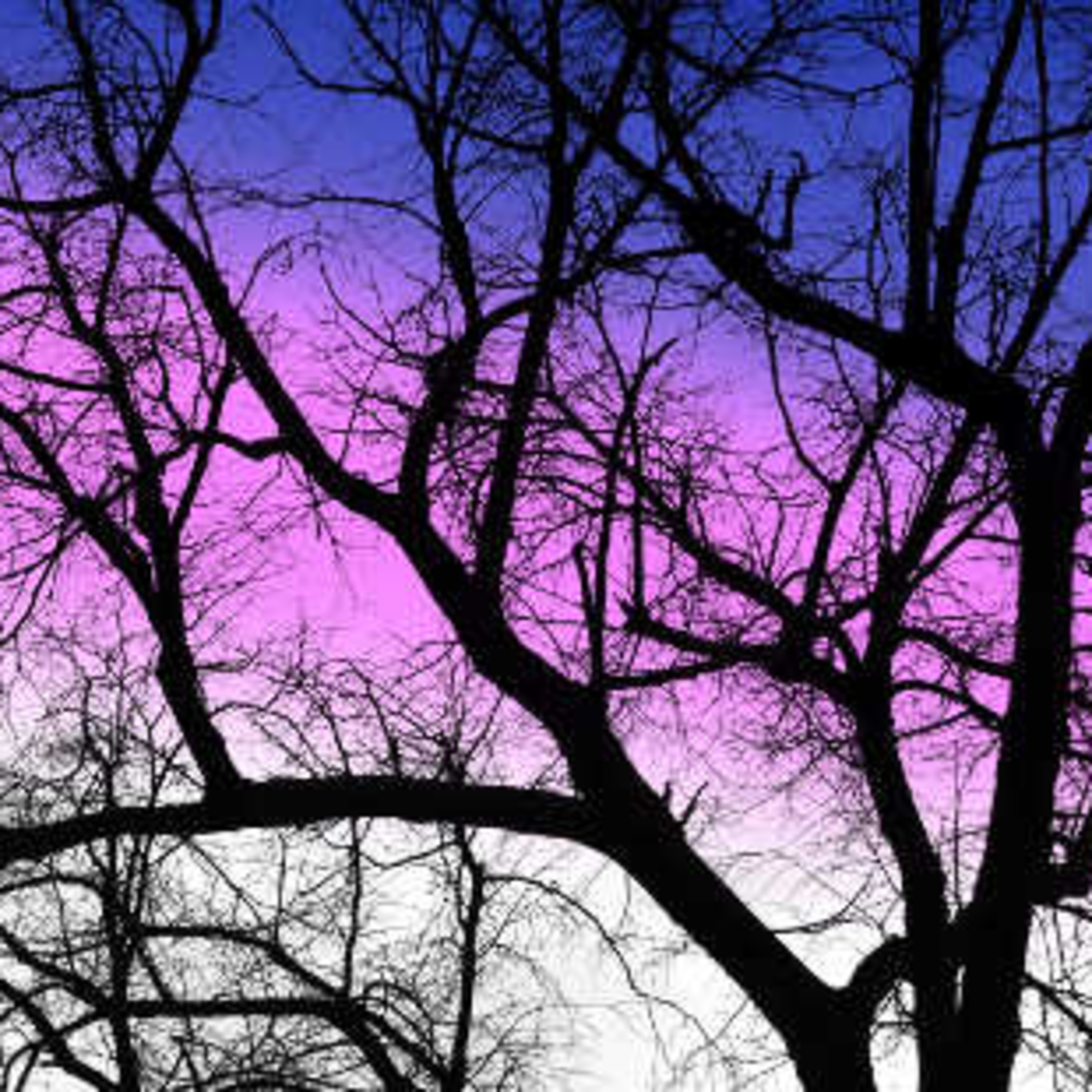 A Tree in Winter is Still A Tree episode artwork