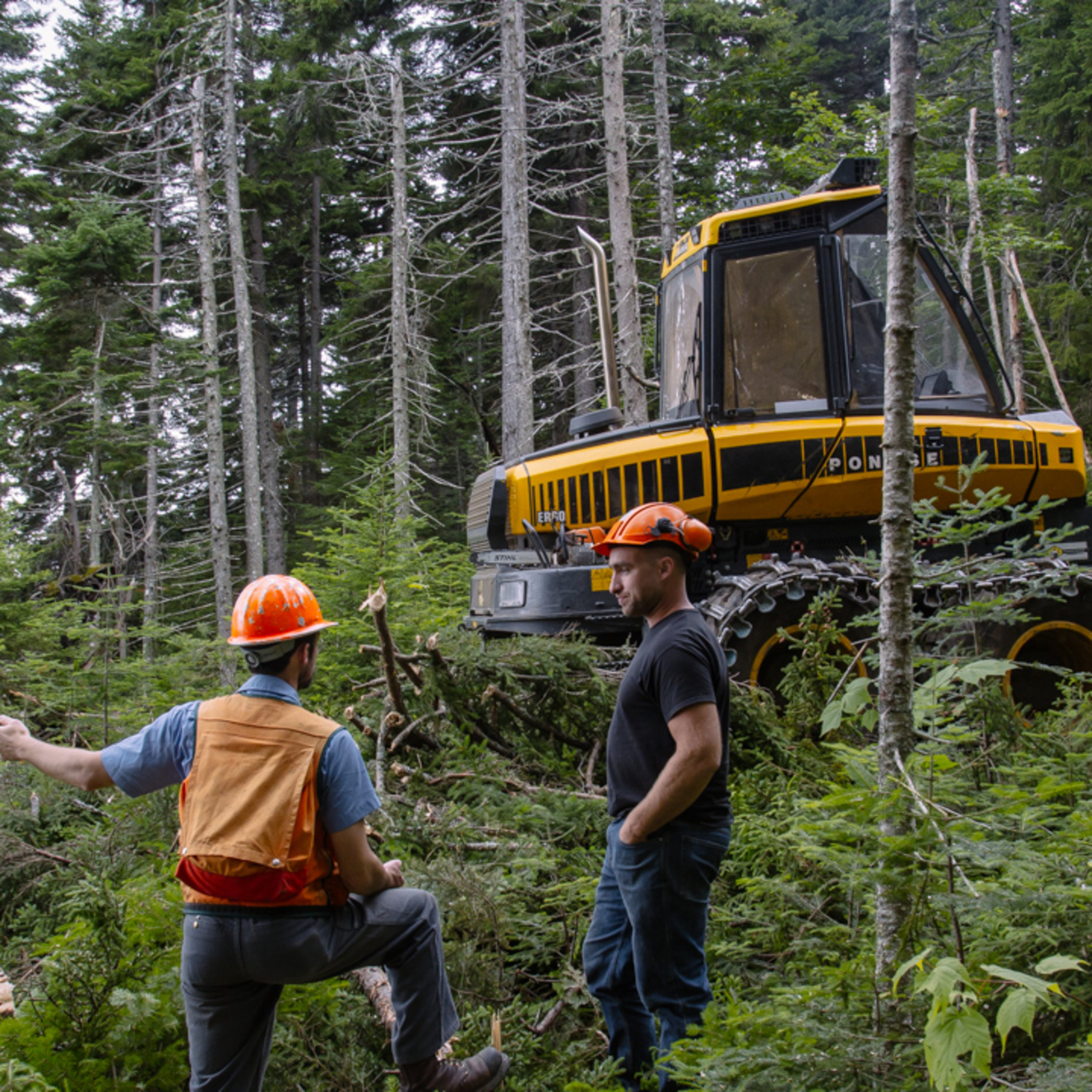 Episode 2: Forestry and Philosophy, with Steve Tatko