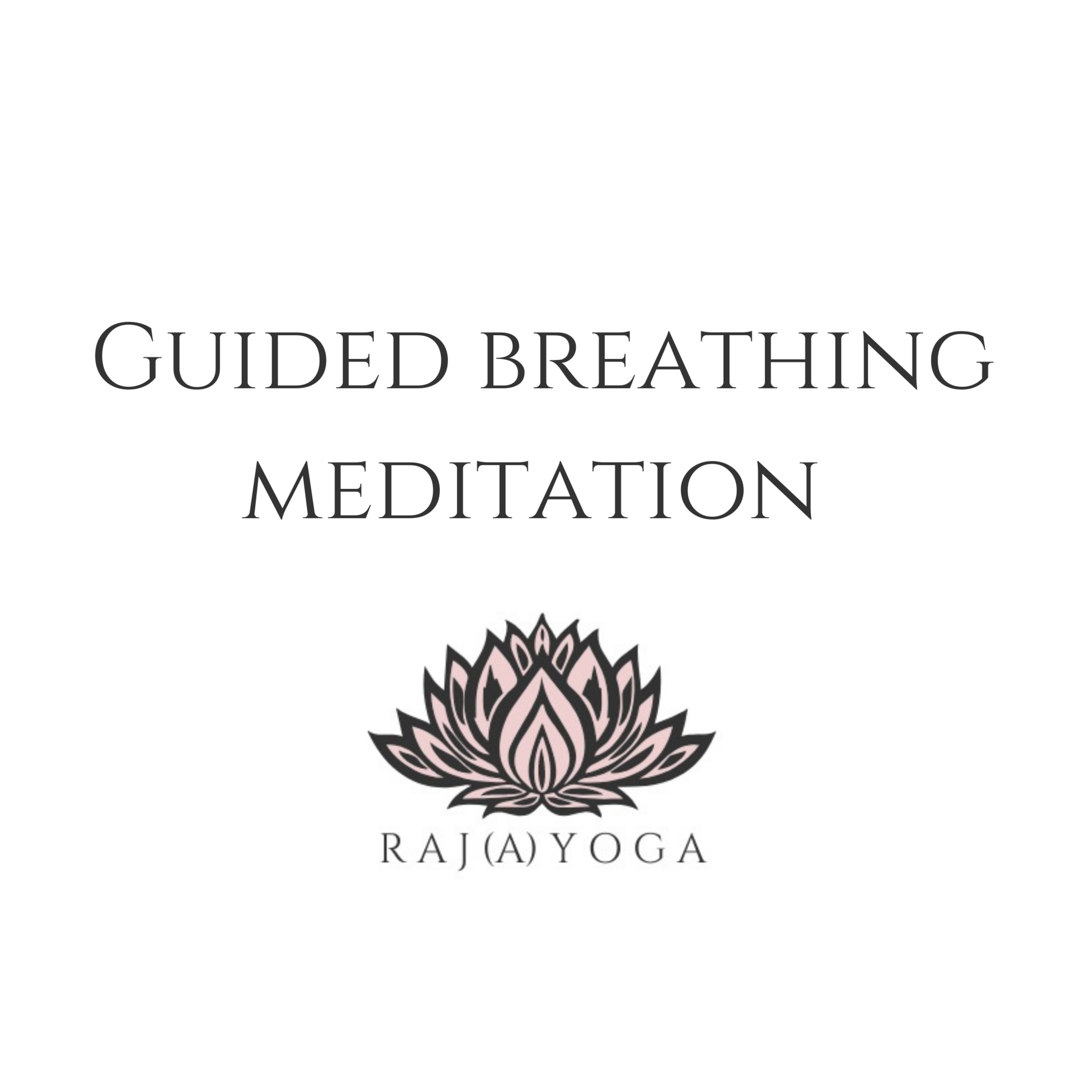 Guided Breathing Meditation - Beginners - Feel Calm and Relaxed