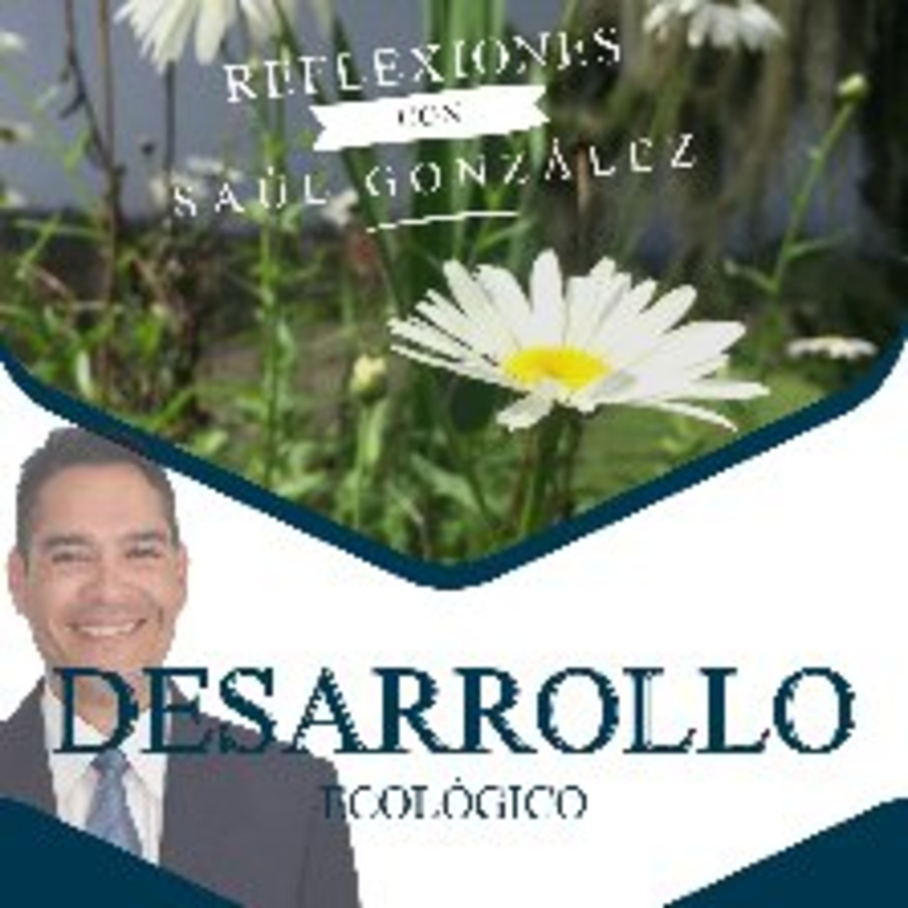 Ventas, Mercadeo y algo más.